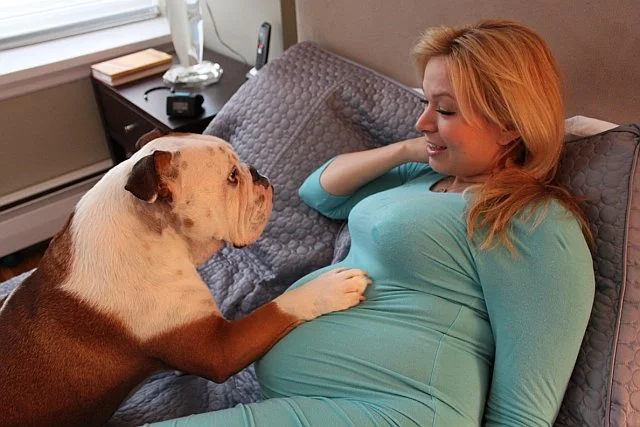 Pregnant Mom in Makeup with her protective pup.