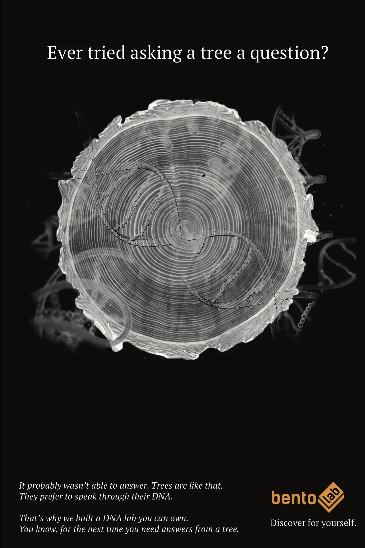 Bento print final tree.jpg