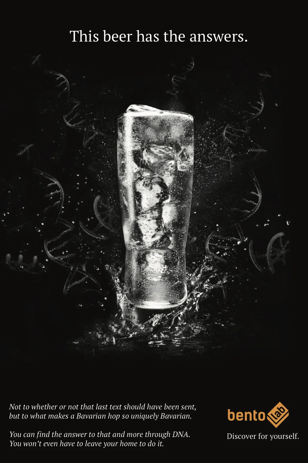 Bento print final .jpg