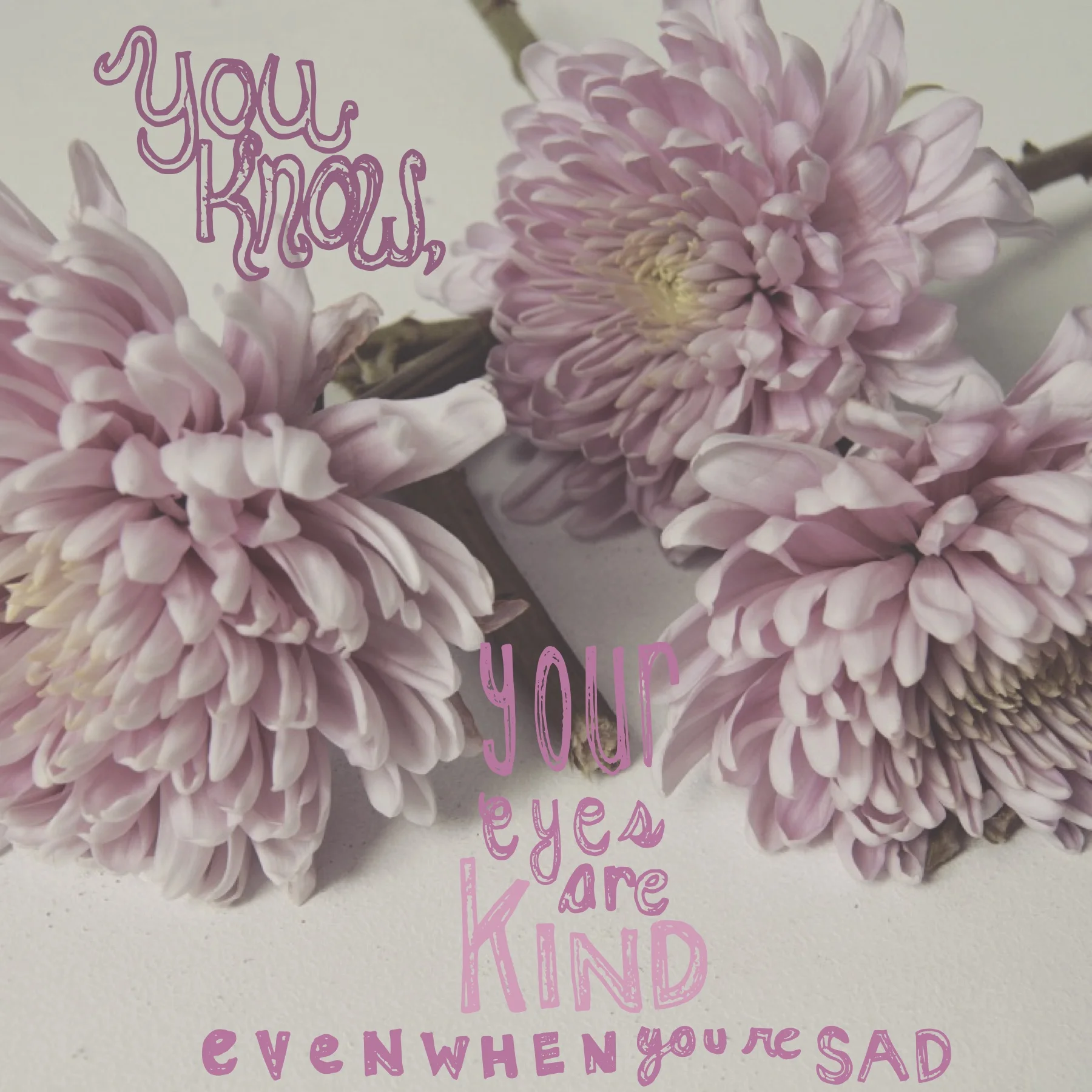 kind pink.jpg