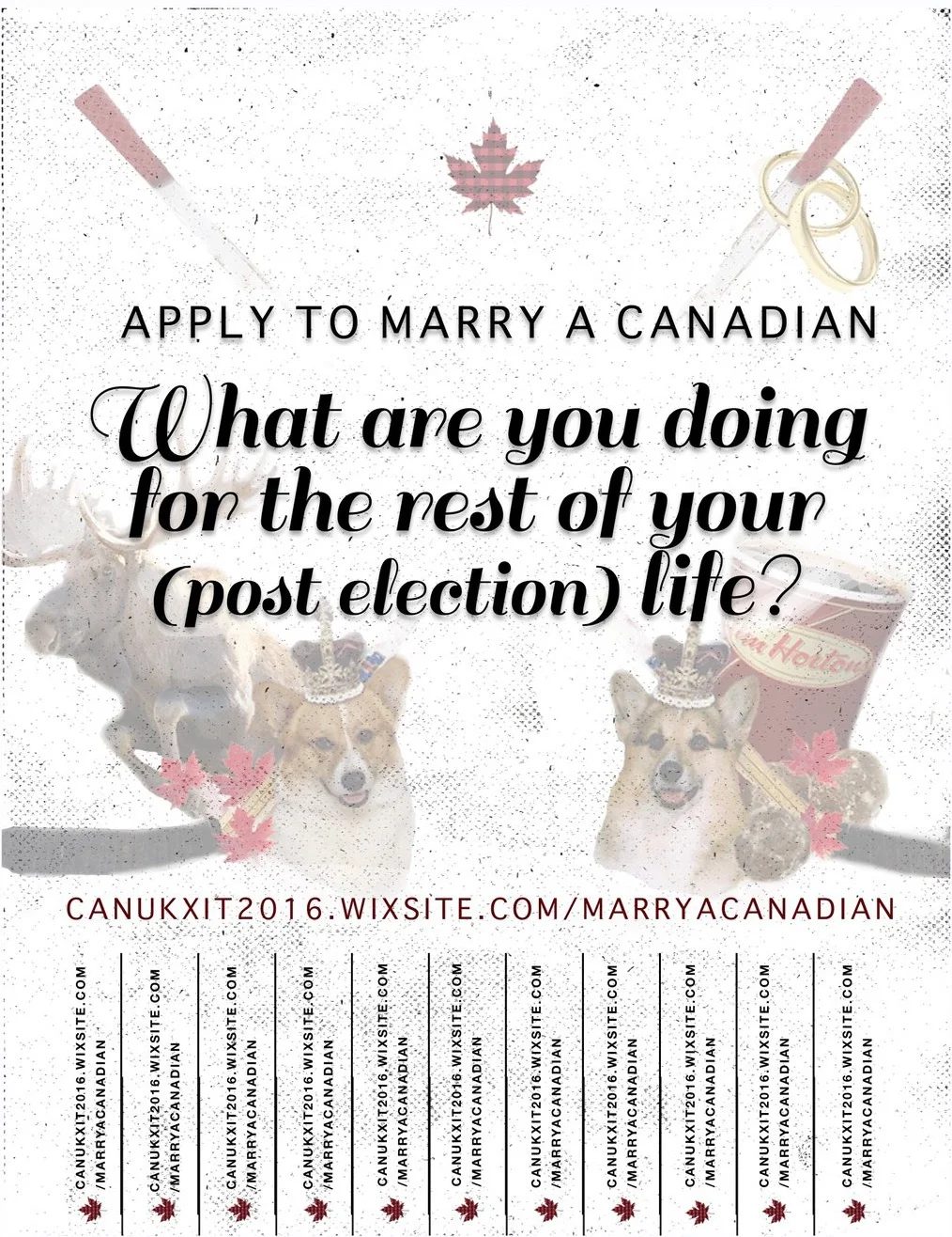 canuxit flyer.jpg
