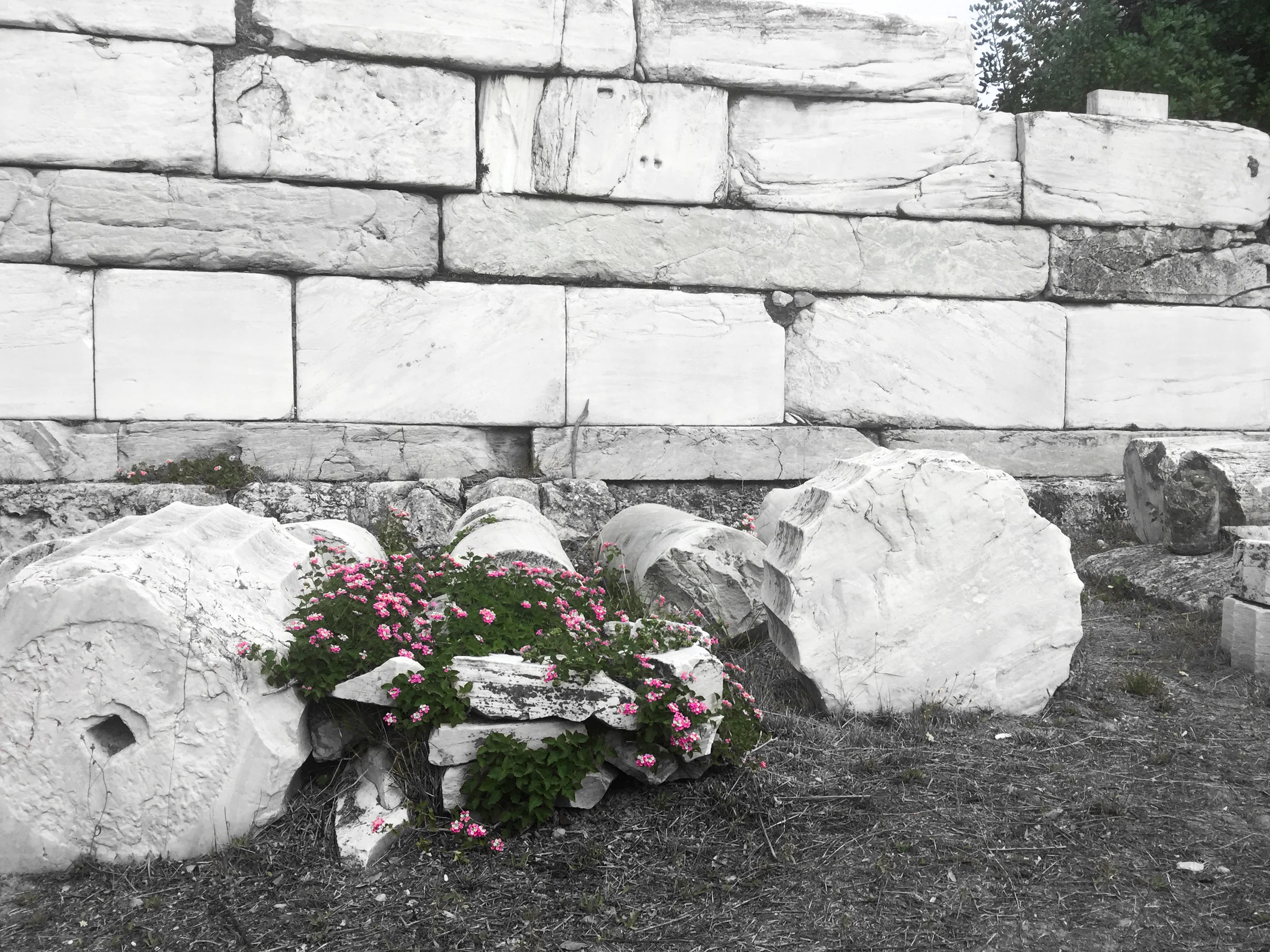 2017-10-26 14.47.23.jpg