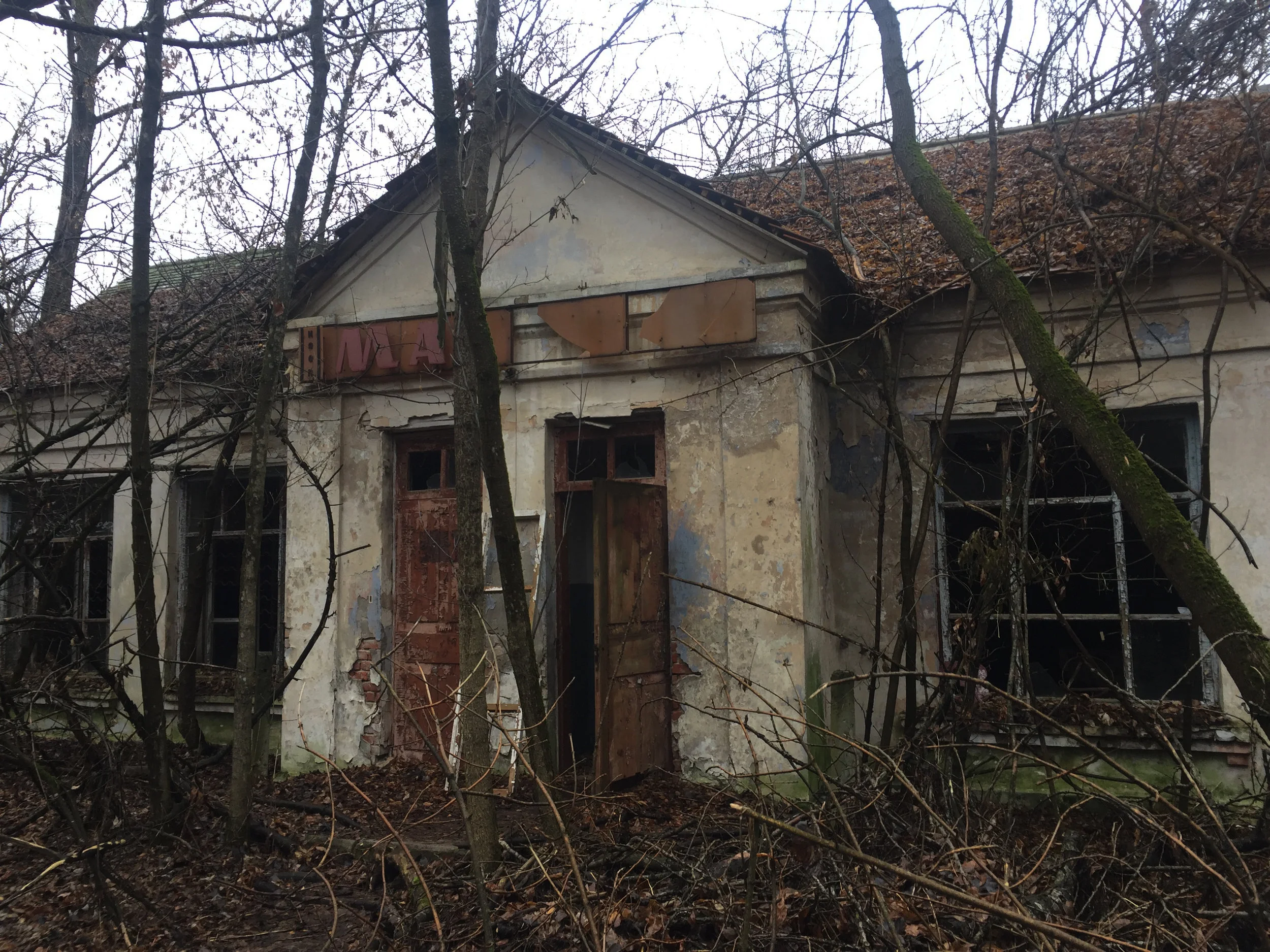 2017-11-13 11.02.32-1.jpg