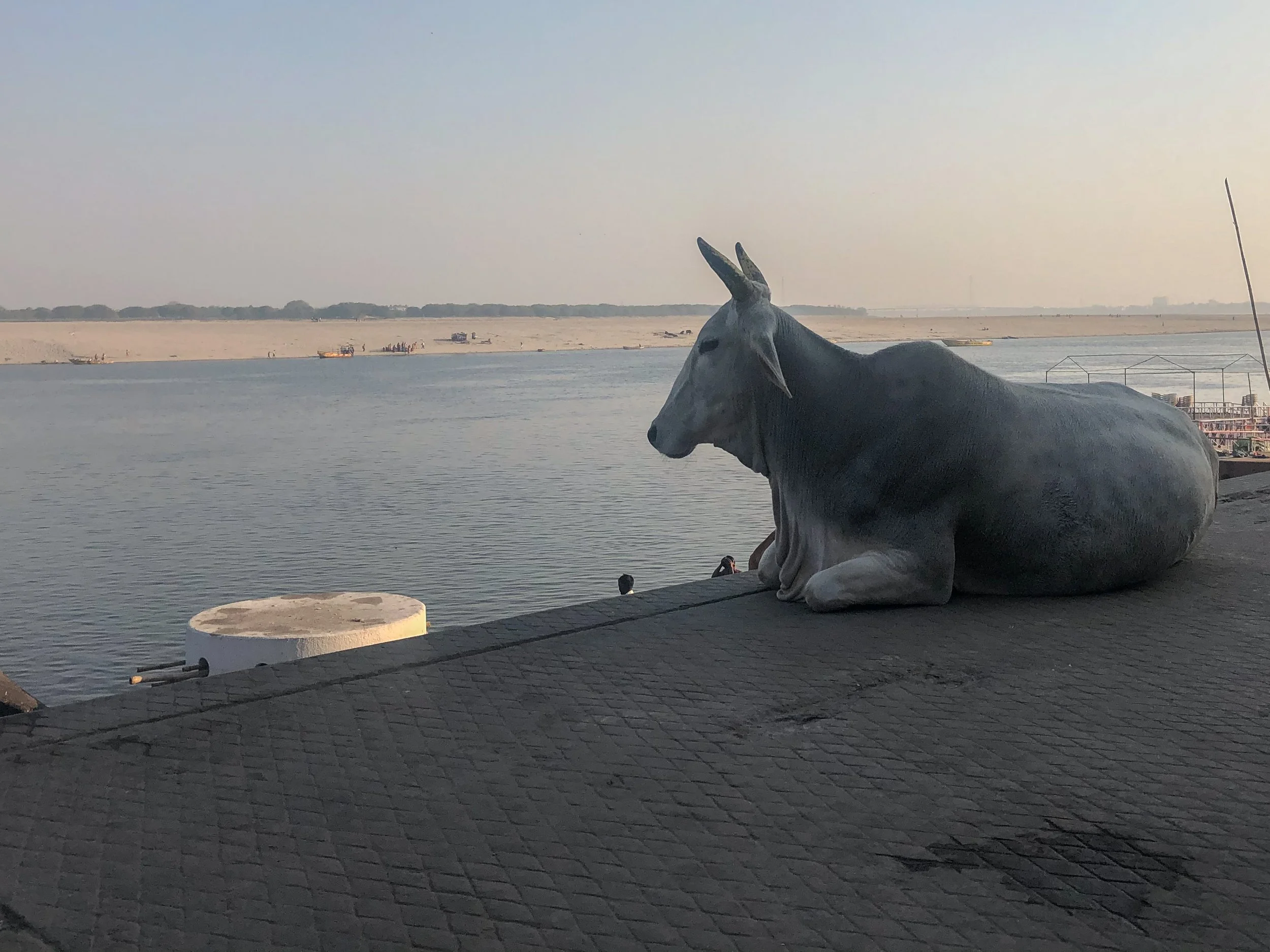 2020-02-18 16.36.54.jpg