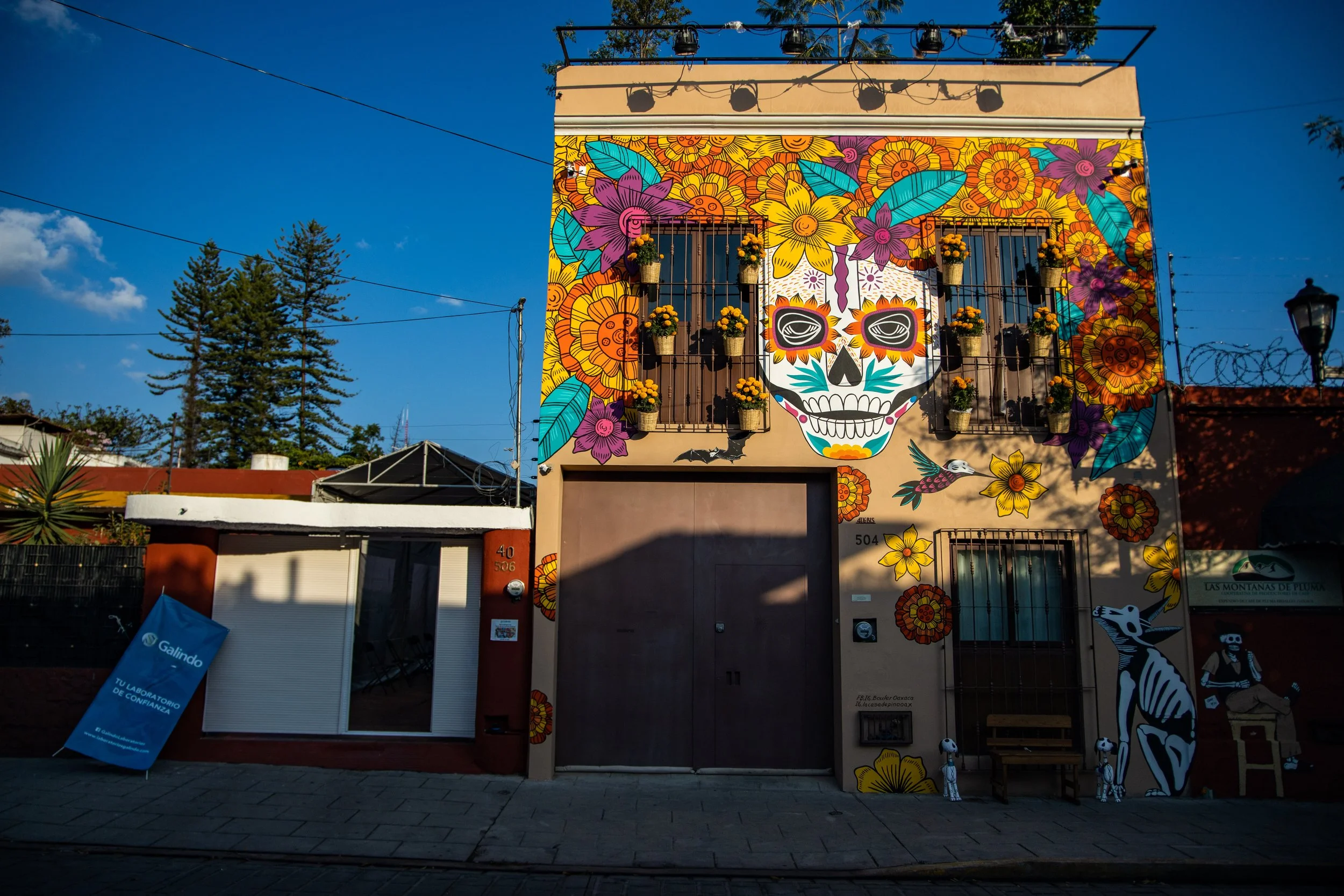 2021-11-01 16.55.11.jpg