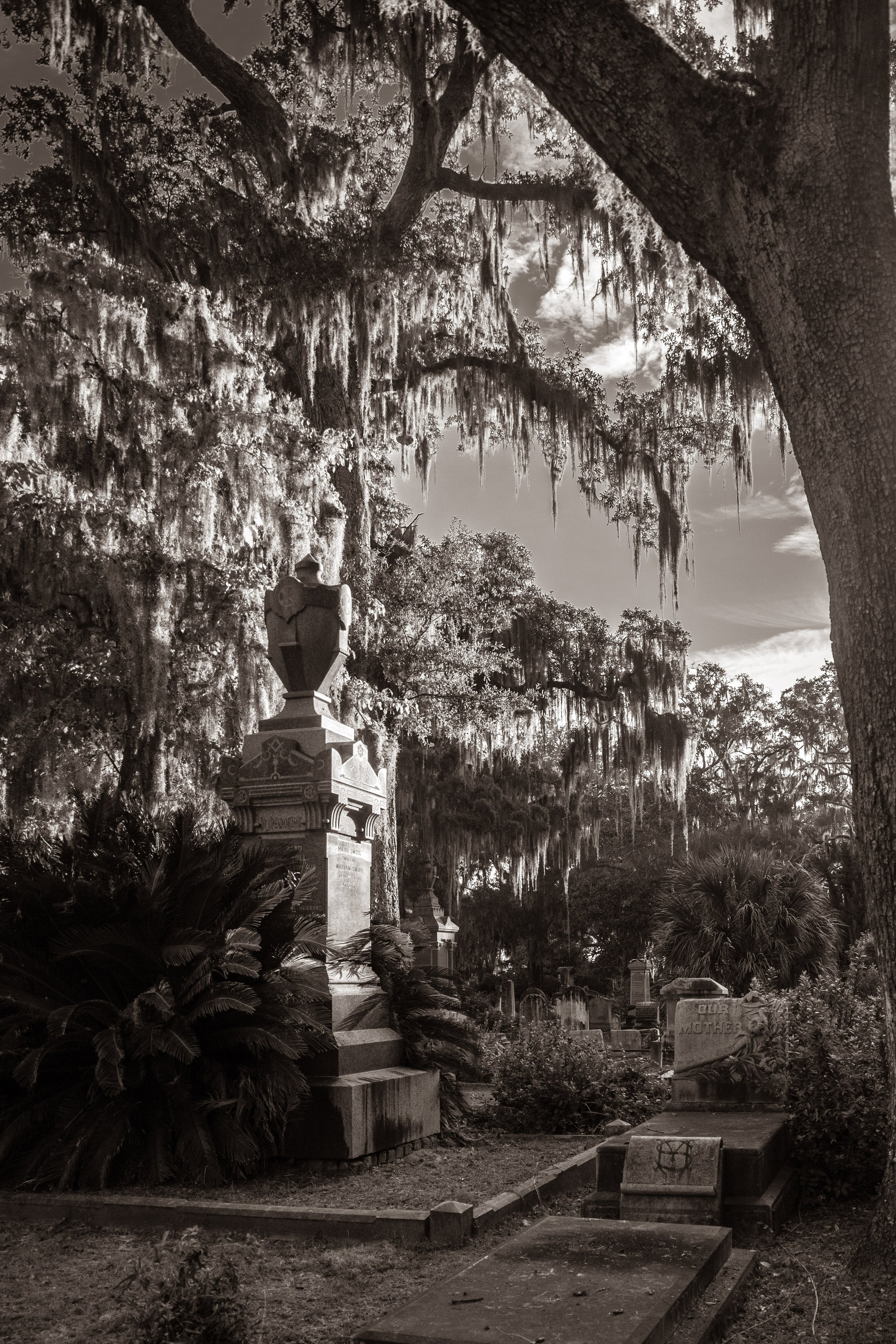 2021-10-21 06.29.49.jpg