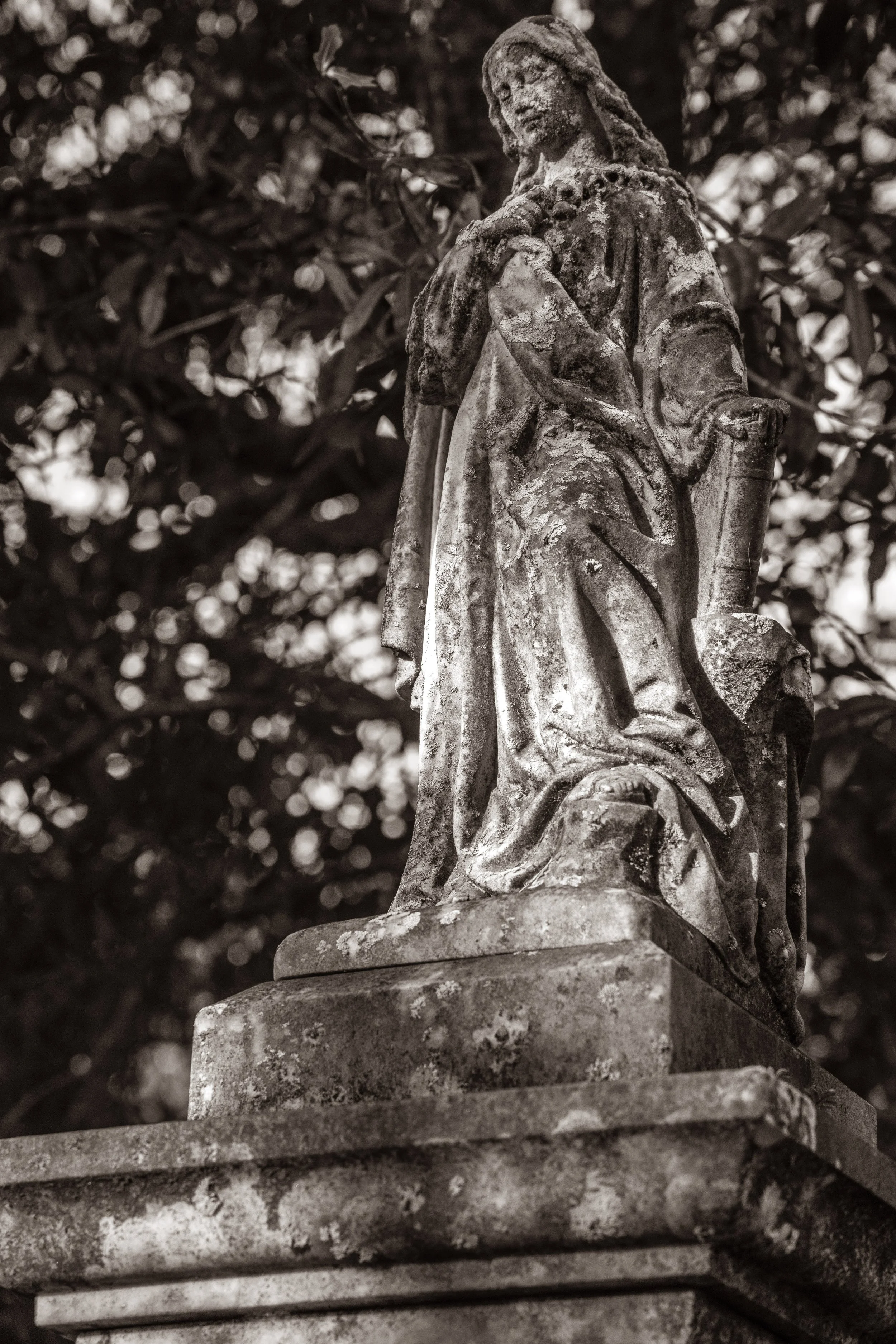 2021-10-21 06.37.21.jpg