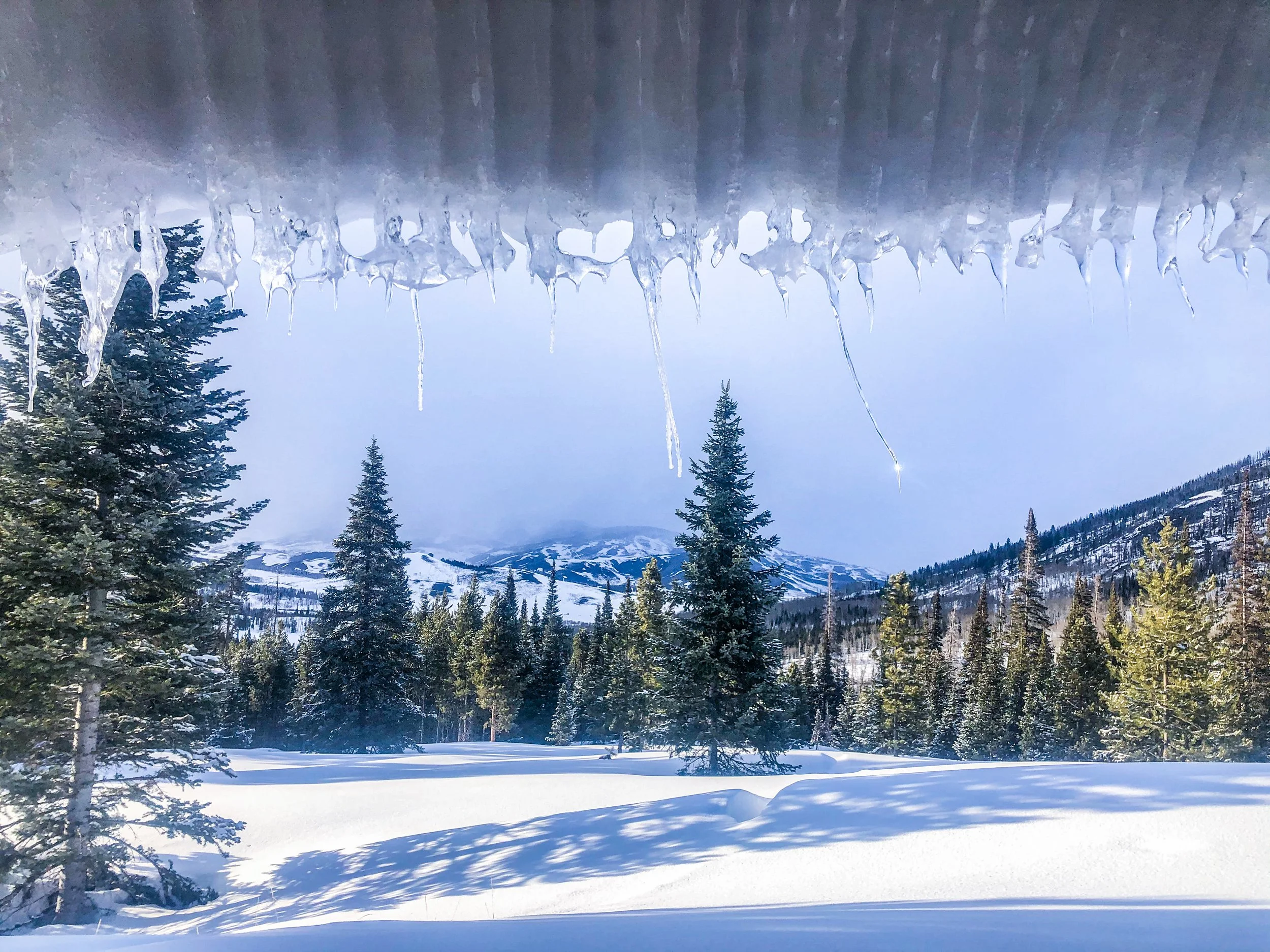 2020-03-28 18.11.58-2.jpg