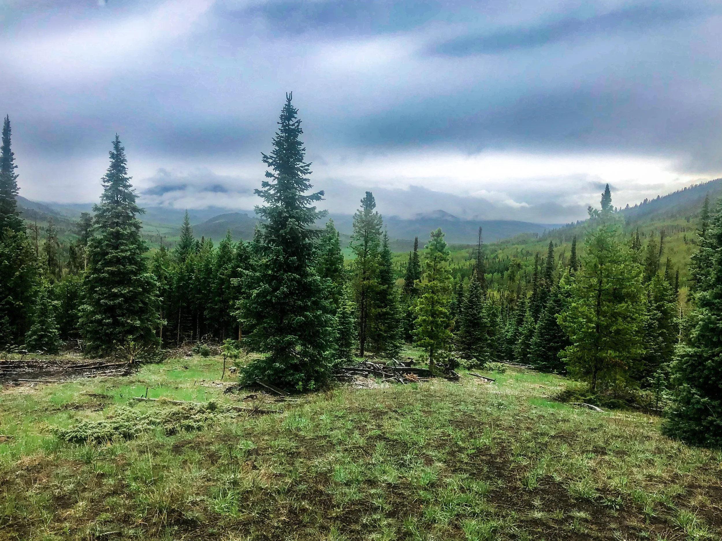 2020-05-24 17.47.46-2.jpg