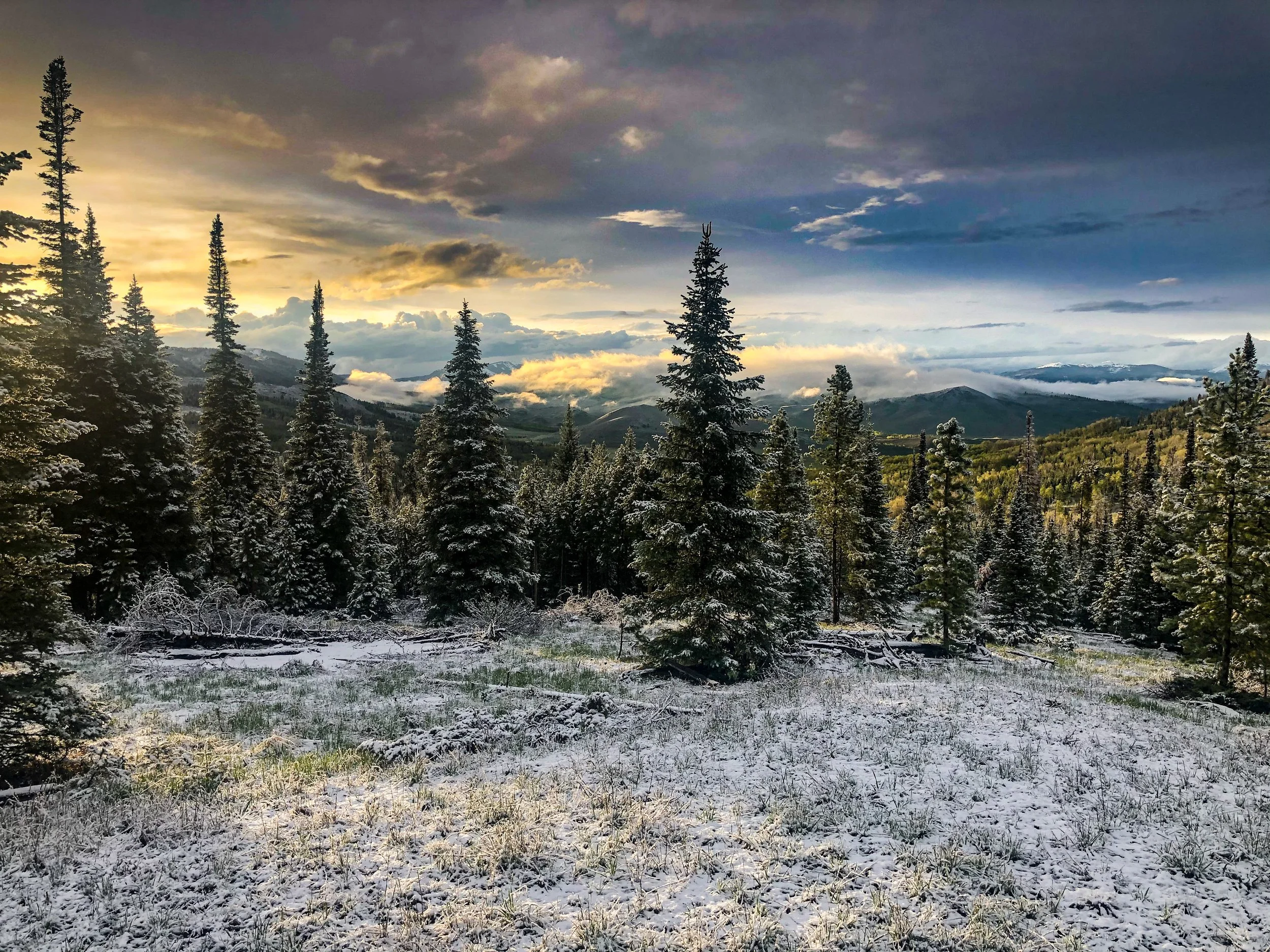 2020-05-24 19.49.20-2.jpg