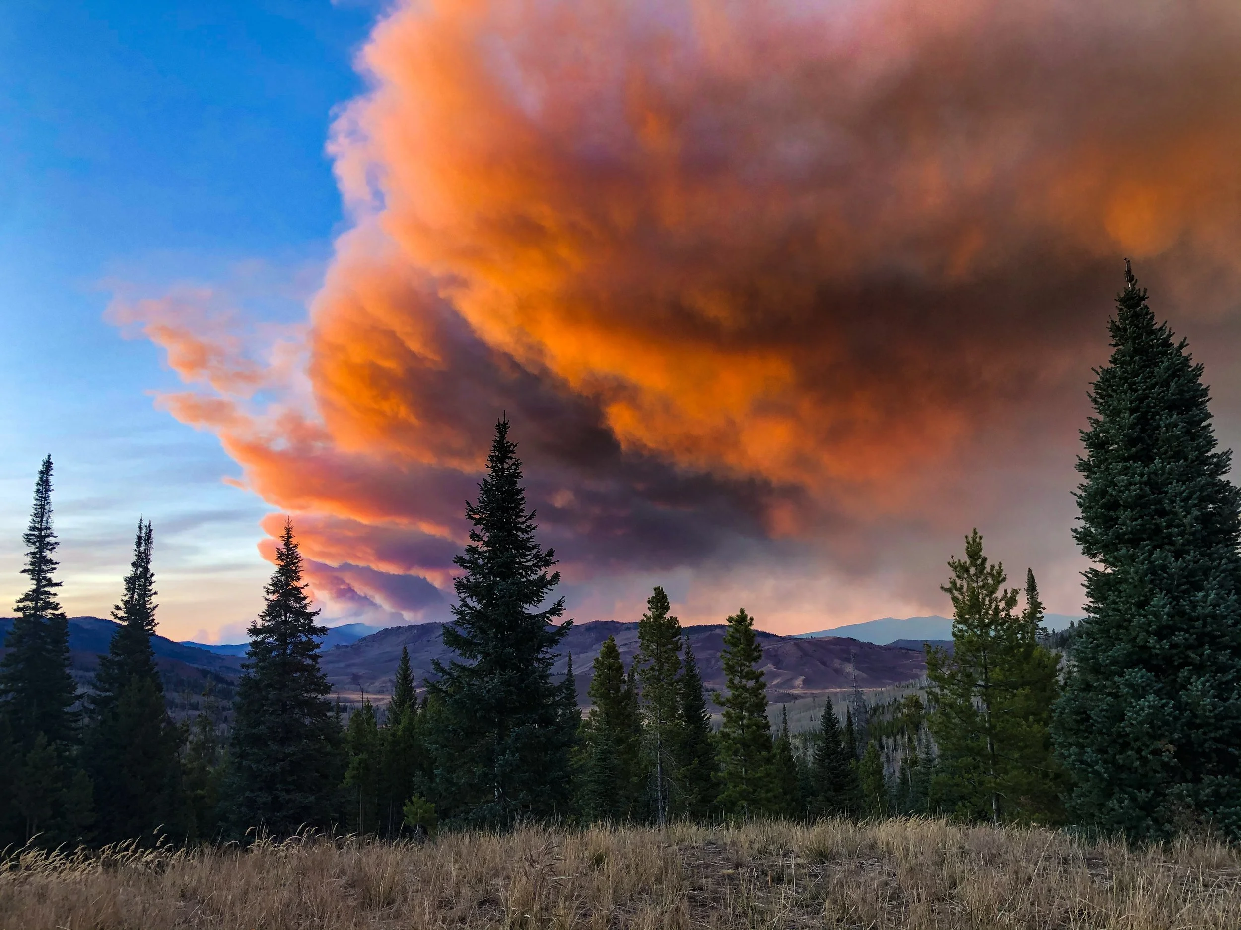 2020-10-15 18.26.03.jpg