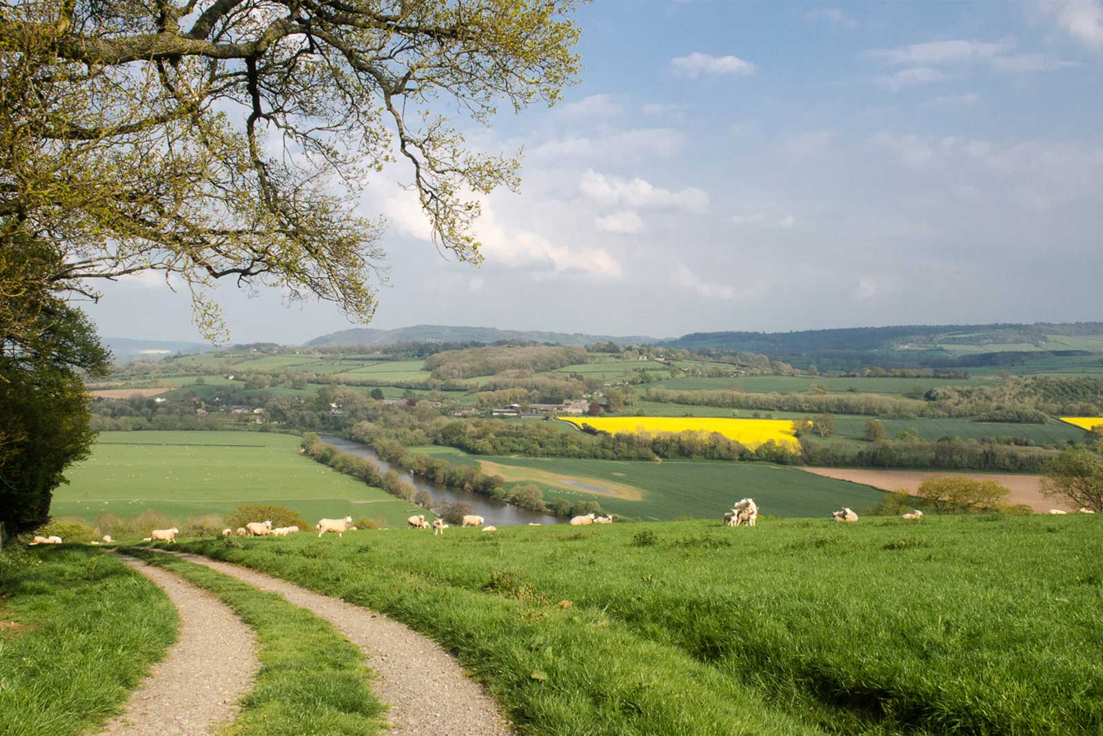 Peren-valley.jpg