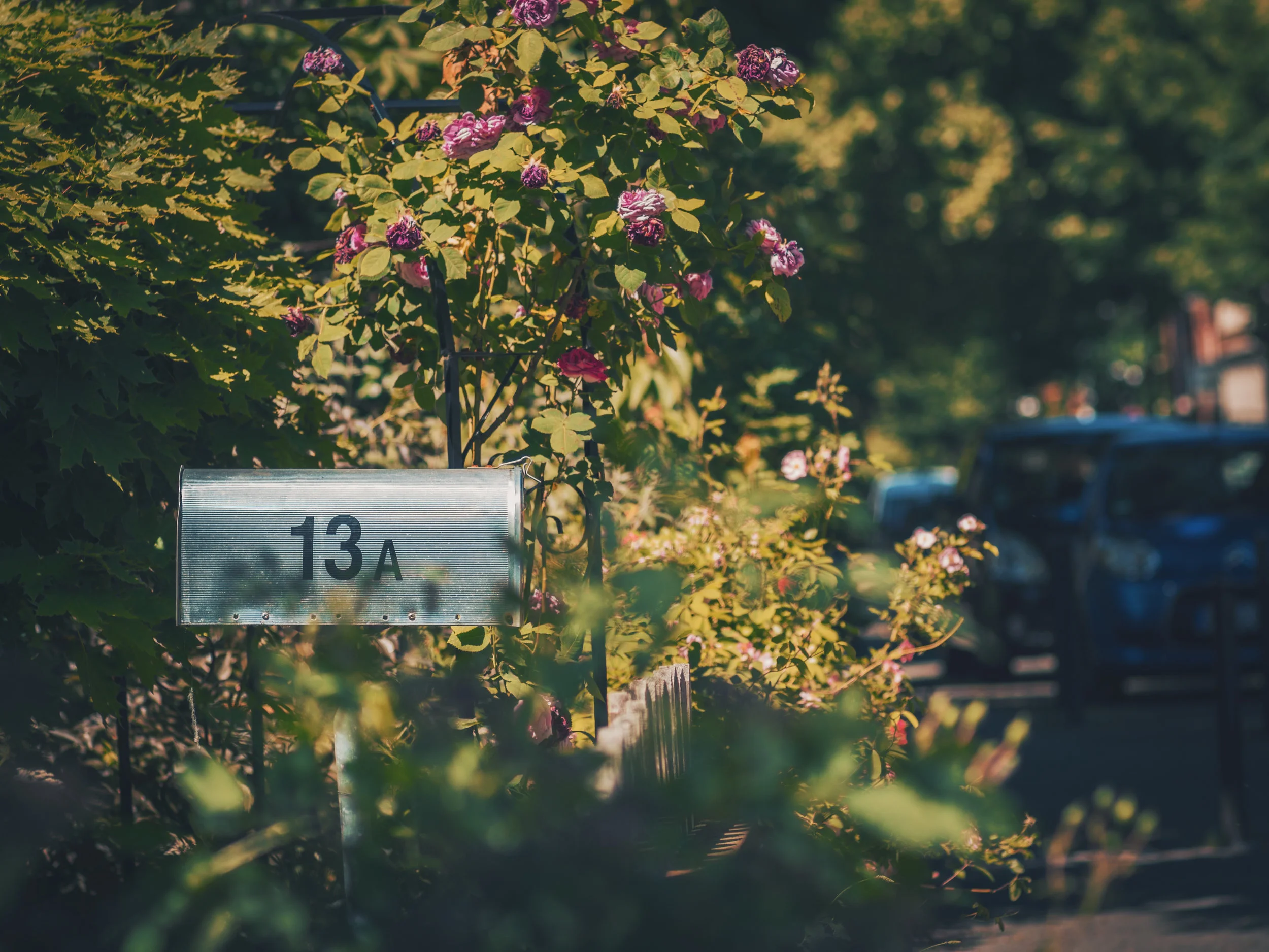 mailbox.jpg