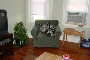 DSC02012.jpg