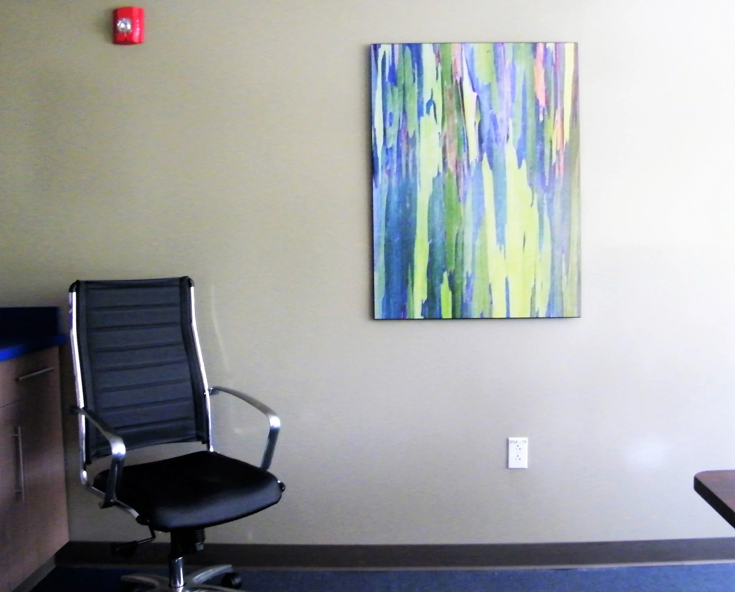 Rainbow Eucalyptus Trunk Near Hana, Maui, Hawaii, USA by Rob Tilley Mounted Print