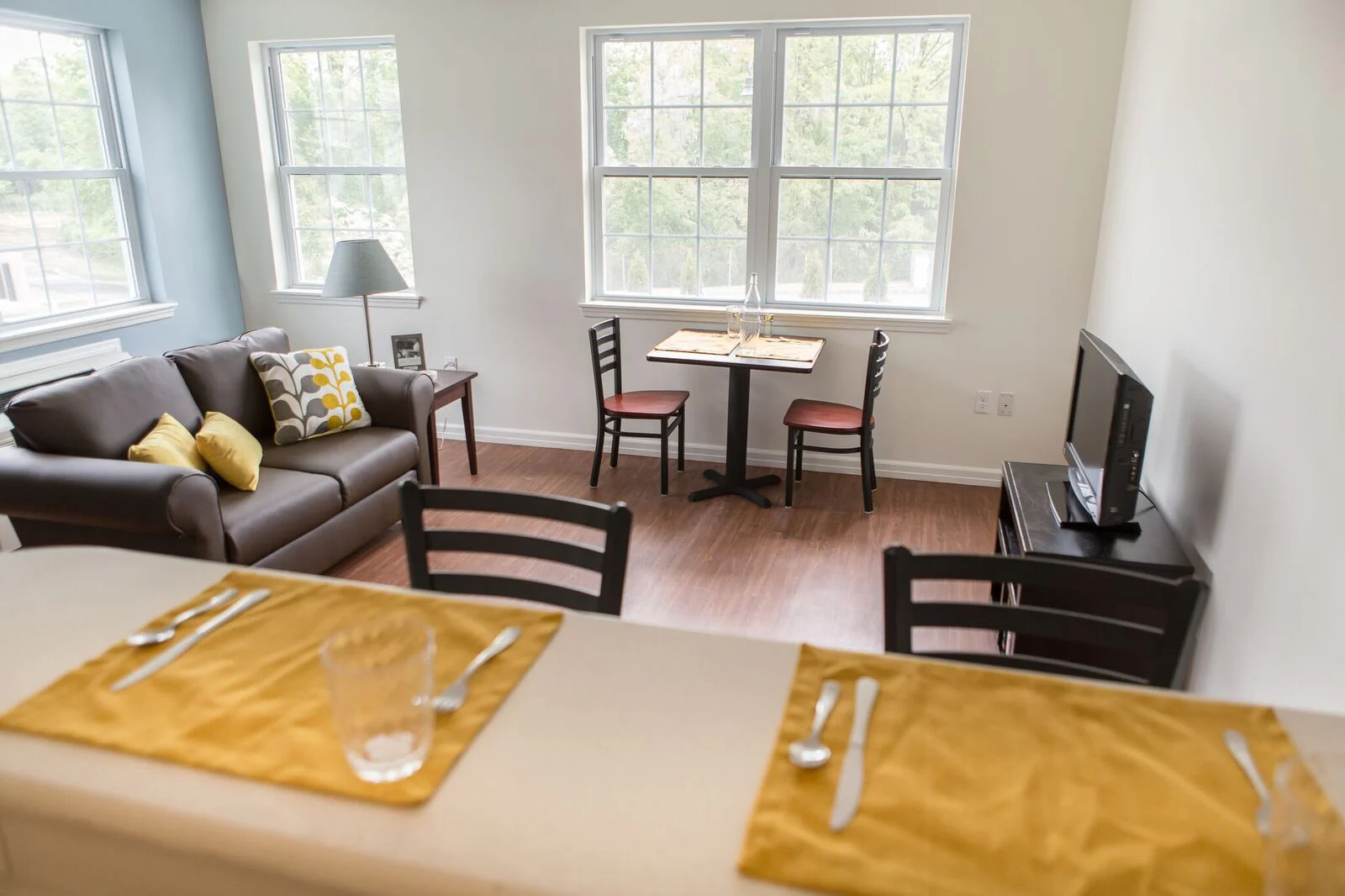 Residential Apartment Living Area_1.jpg