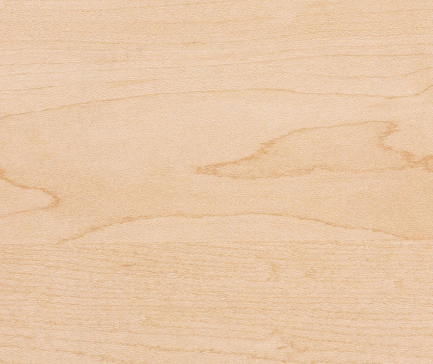 Maple Laminate