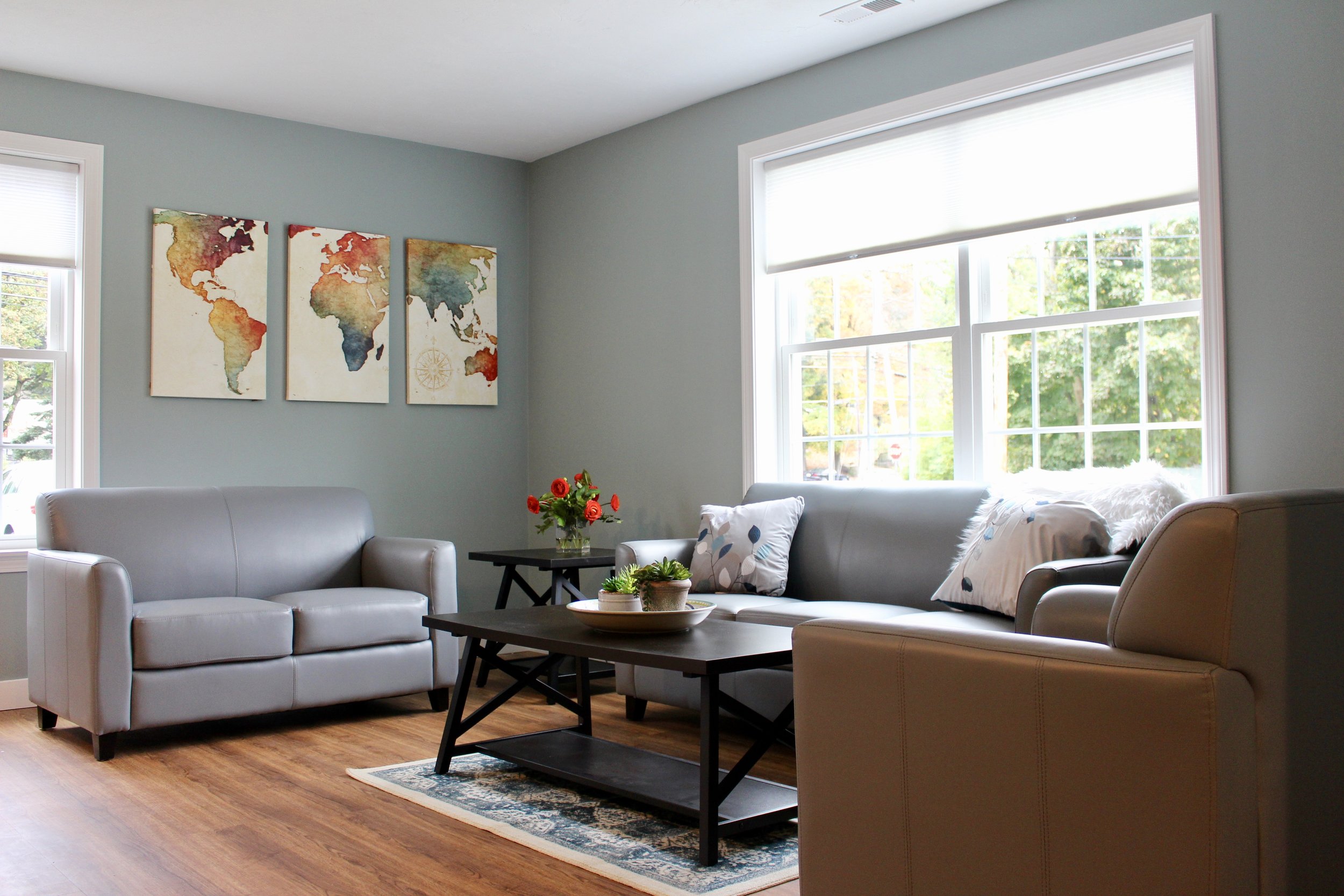 Diplomat series vinyl upholstry