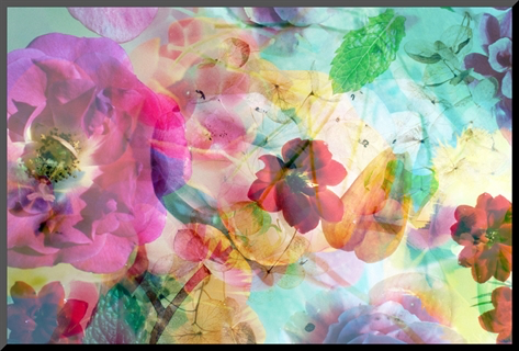 Abstract dreamy multicolor blossoms in water, alaya gadeh