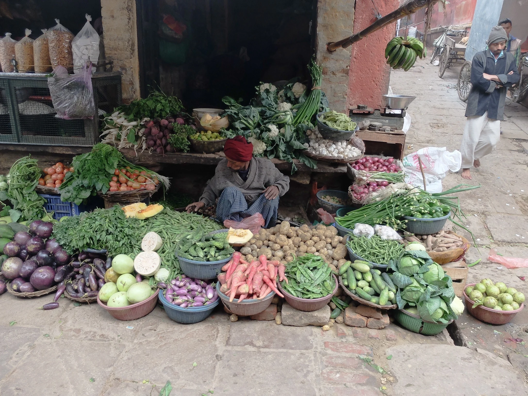 India_Jan_2014-1893.jpg