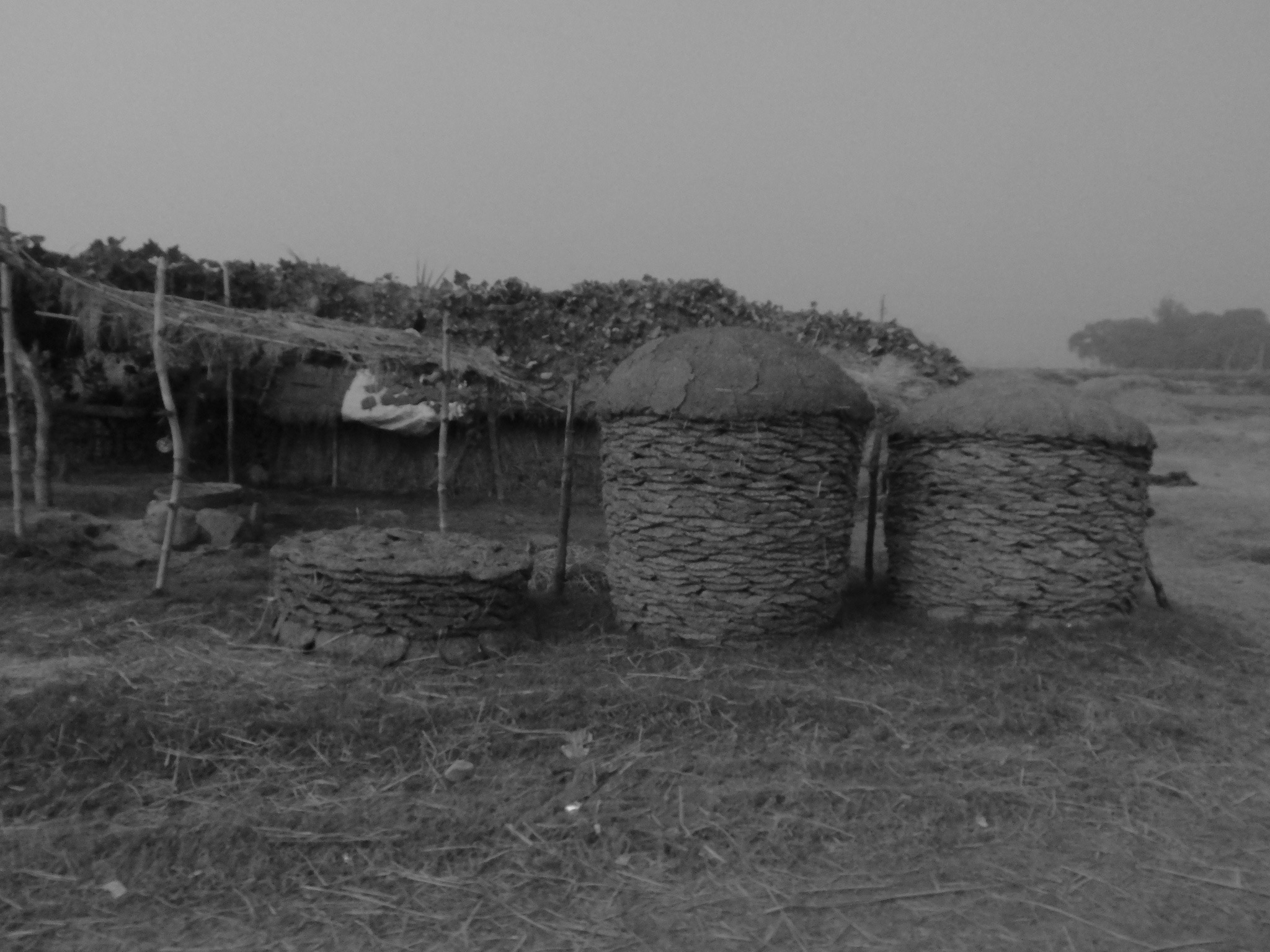 India_Jan_2014-1810.jpg