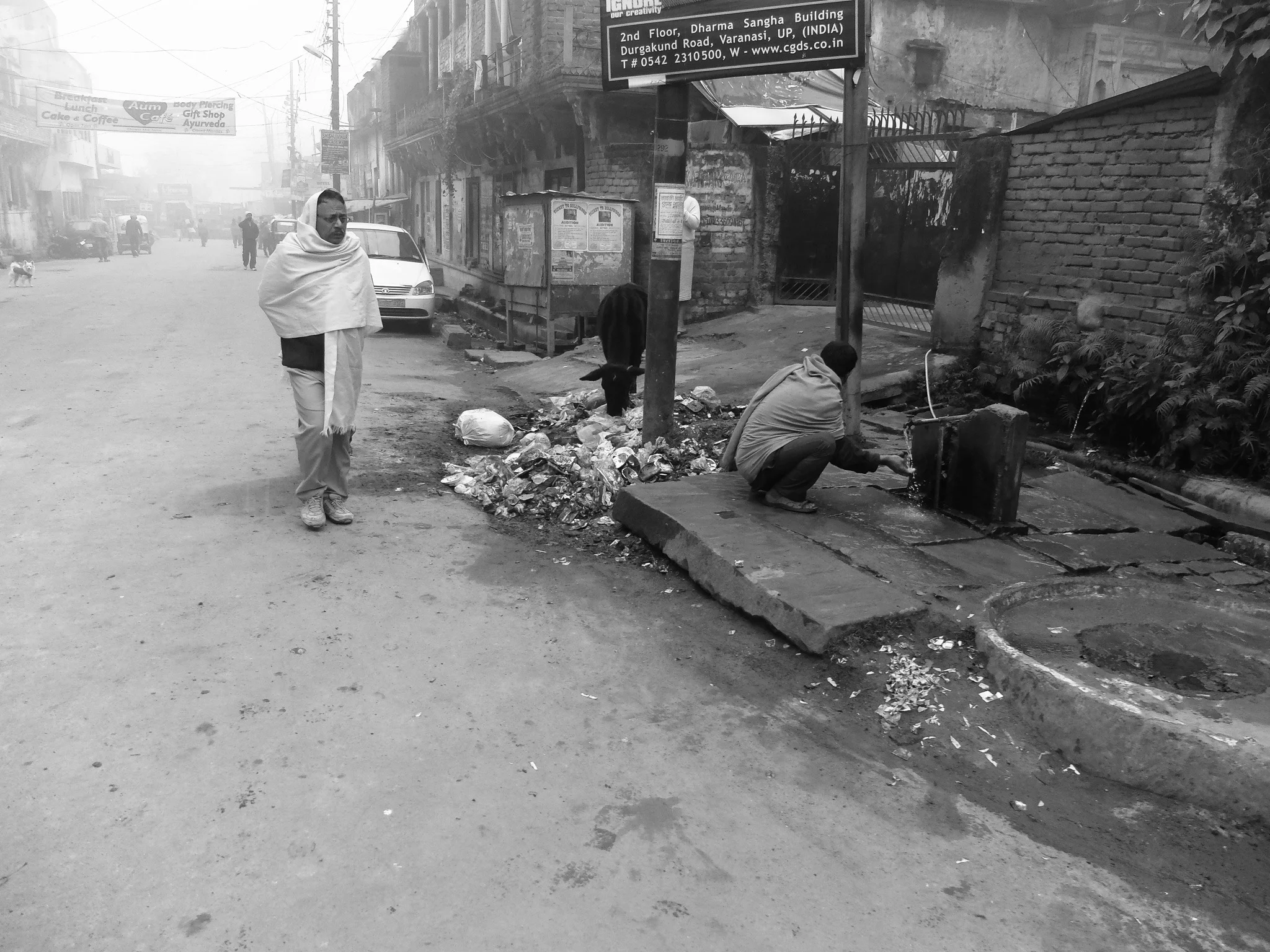 India_Jan_2014-1834.jpg