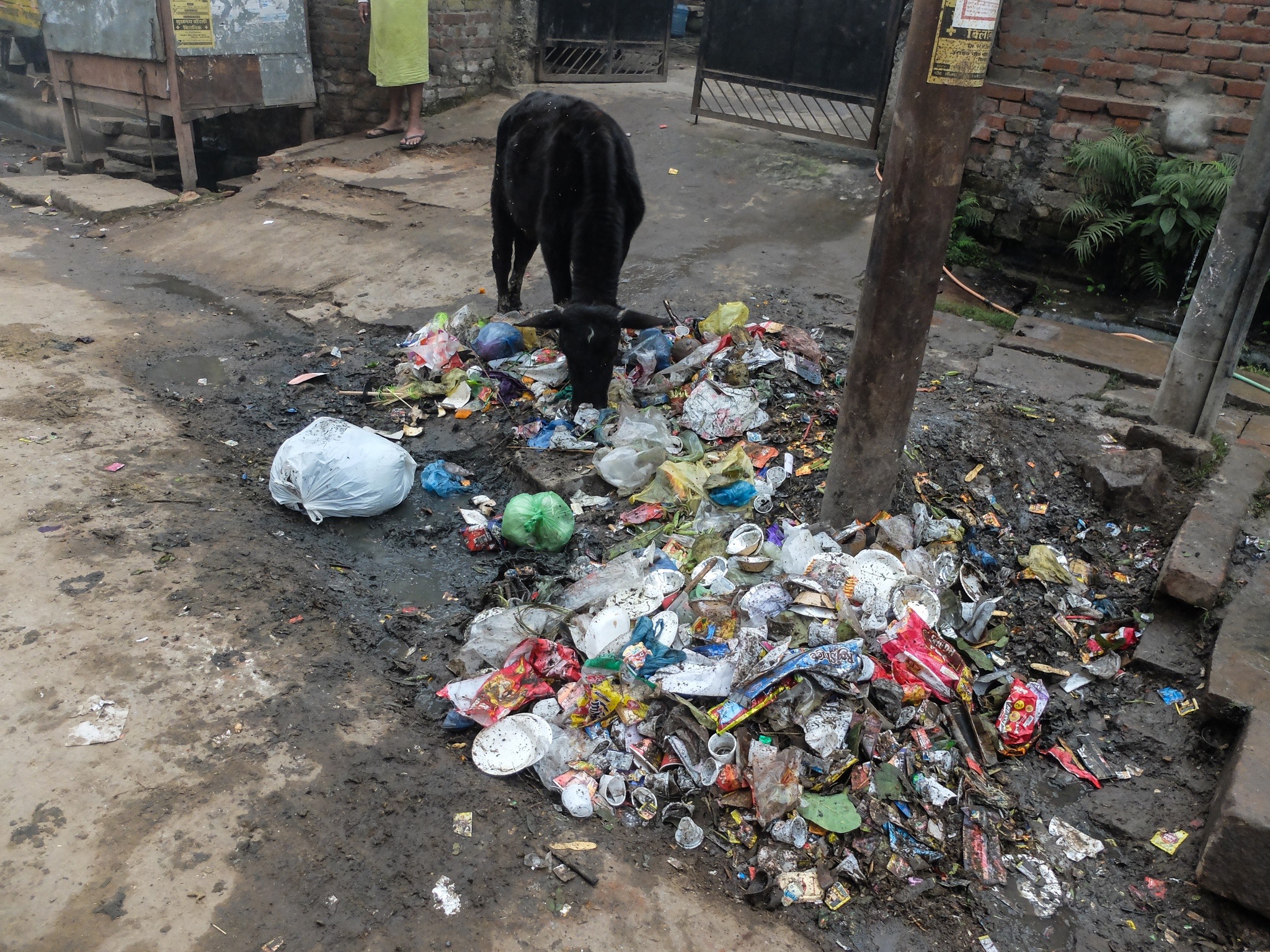 India_Jan_2014-1835.jpg