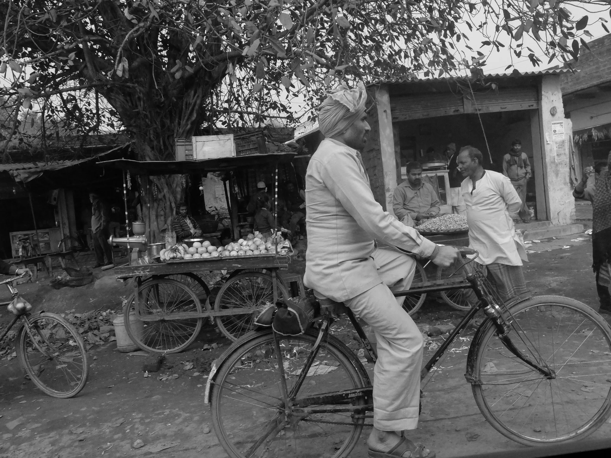 India_Jan_2014-1778.jpg