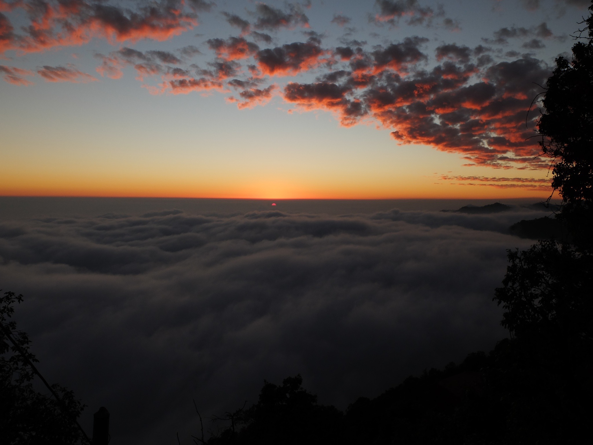 India_Jan_2014-1646.jpg