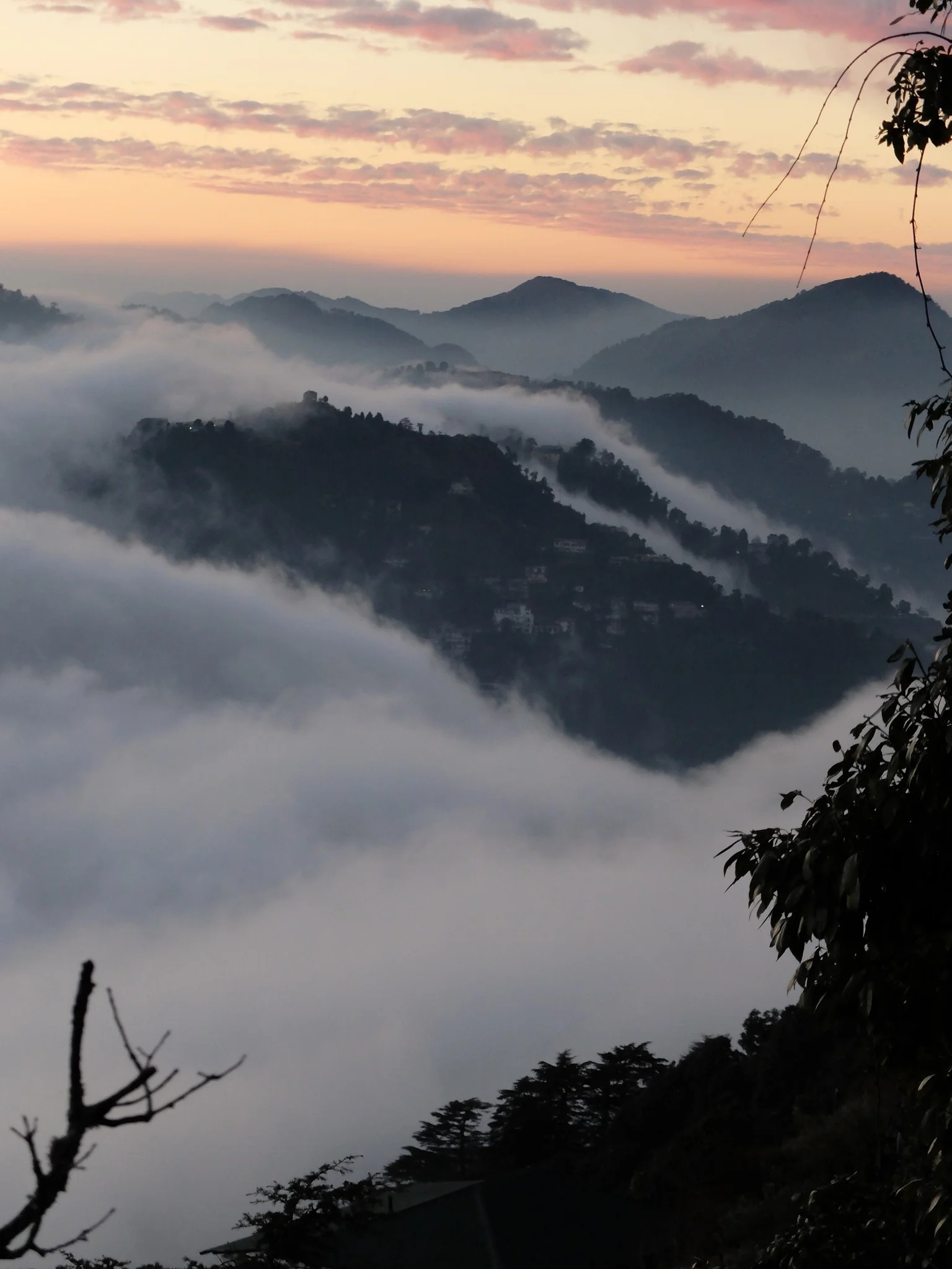 India_Jan_2014-1657.jpg