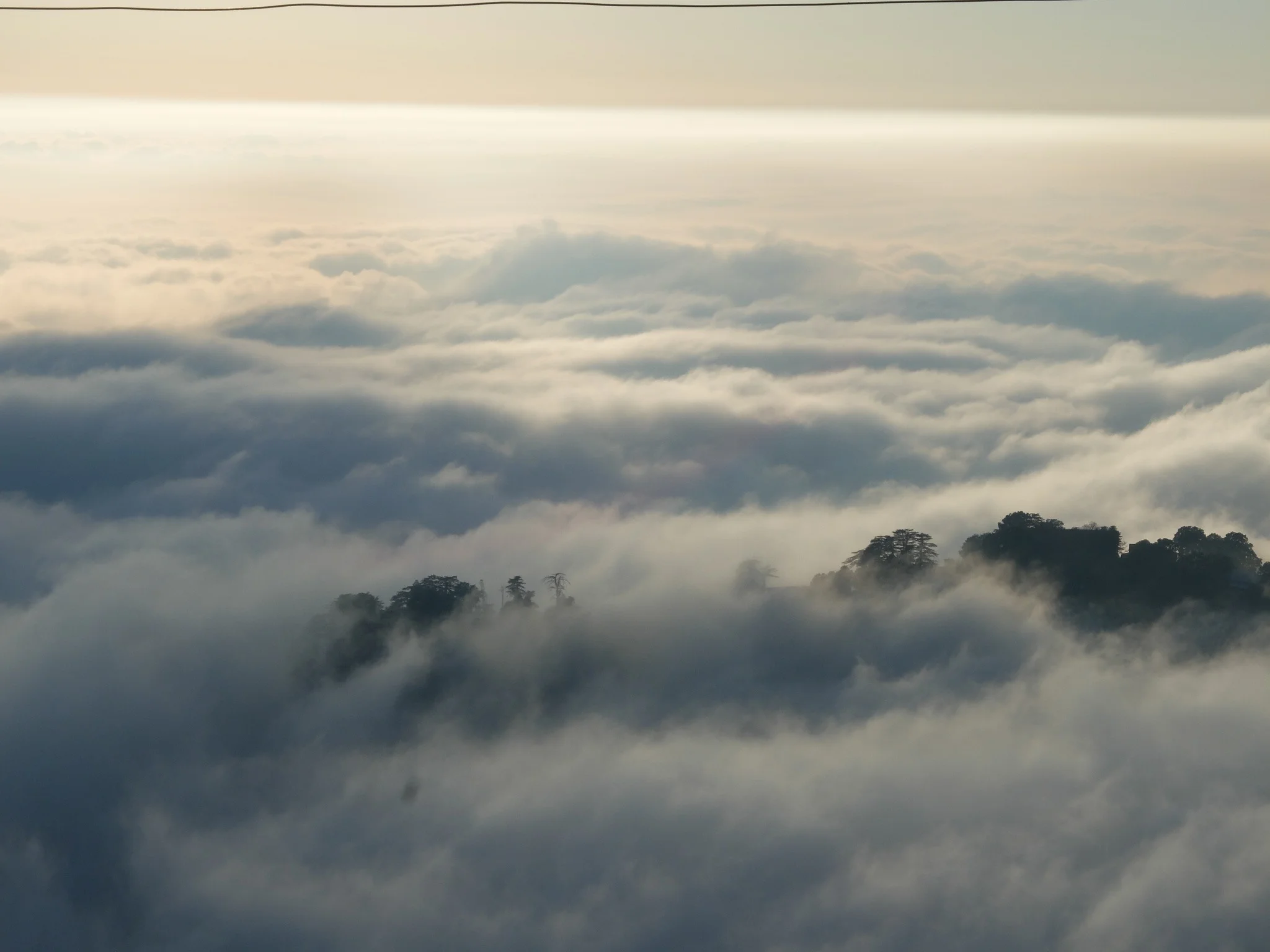 India_Jan_2014-1633.jpg