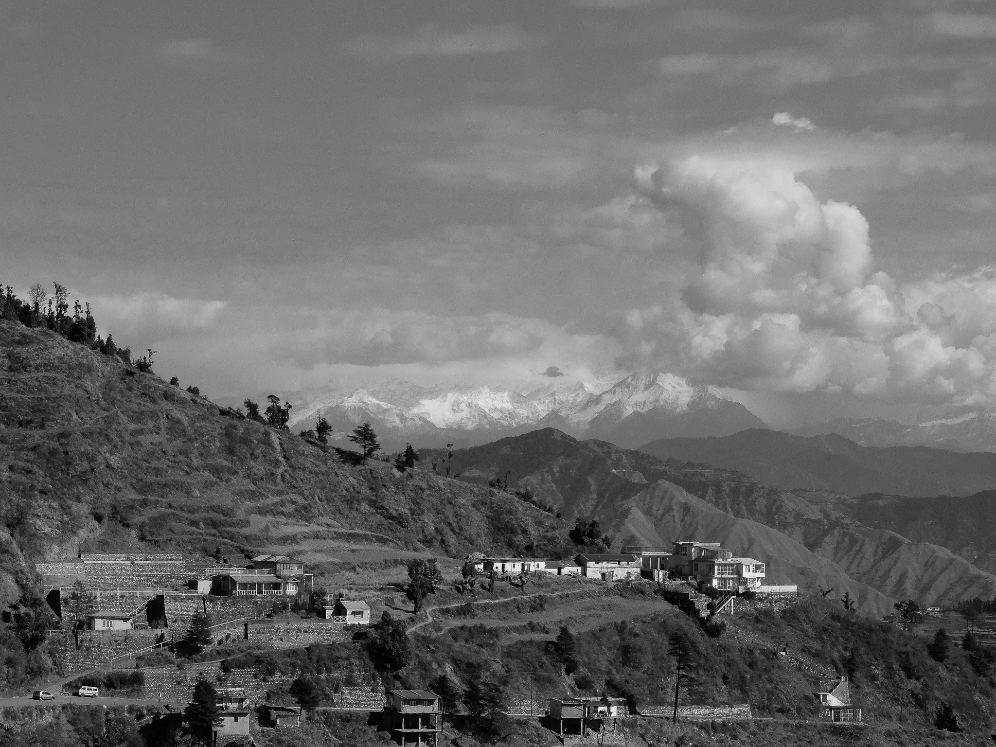 India_Jan_2014-1586.jpg