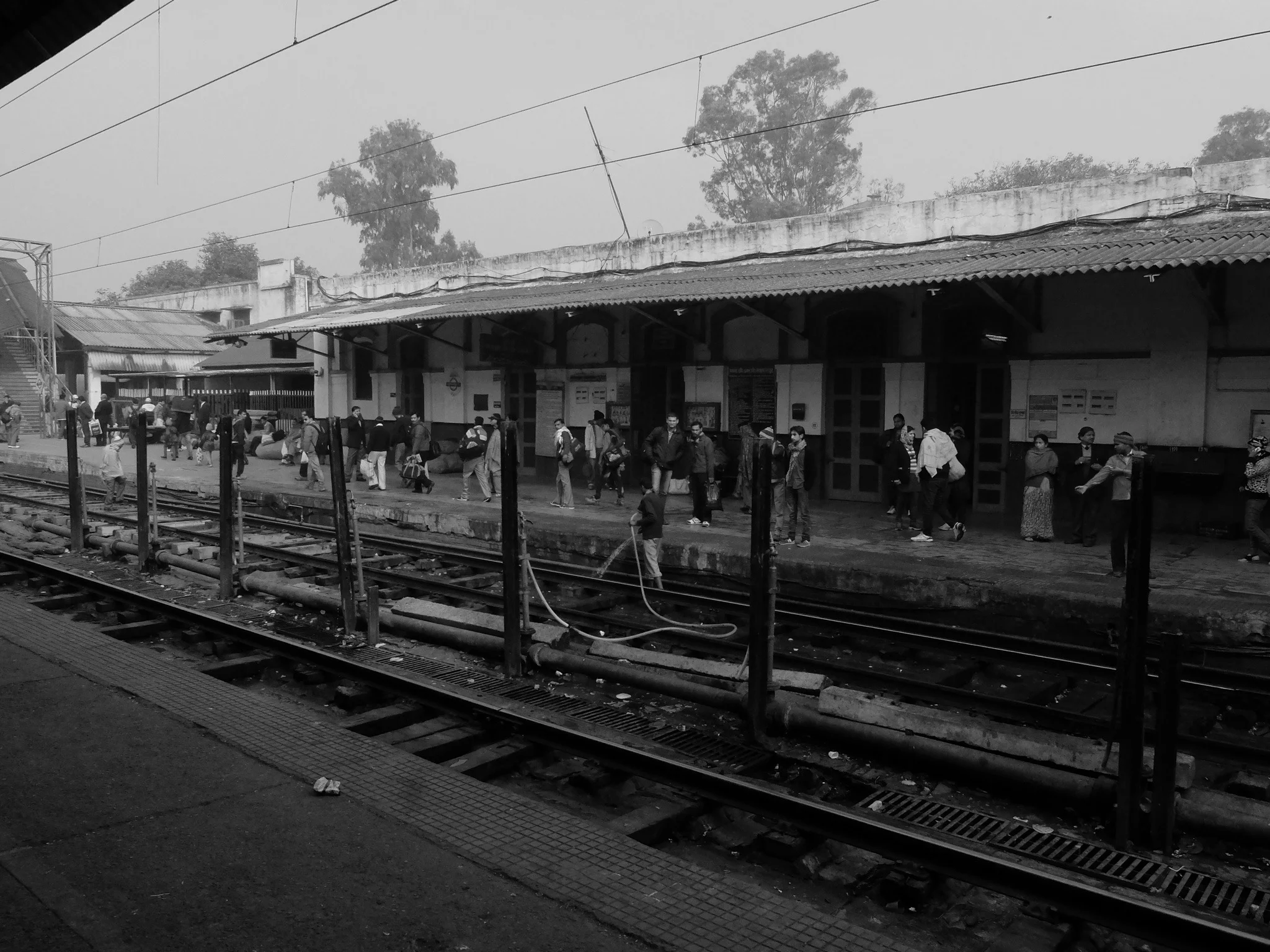 India_Jan_2014-1551.jpg
