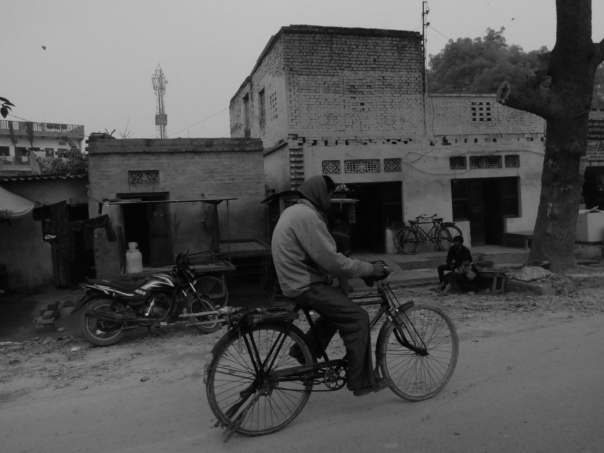 India_Jan_2014-1737.jpg