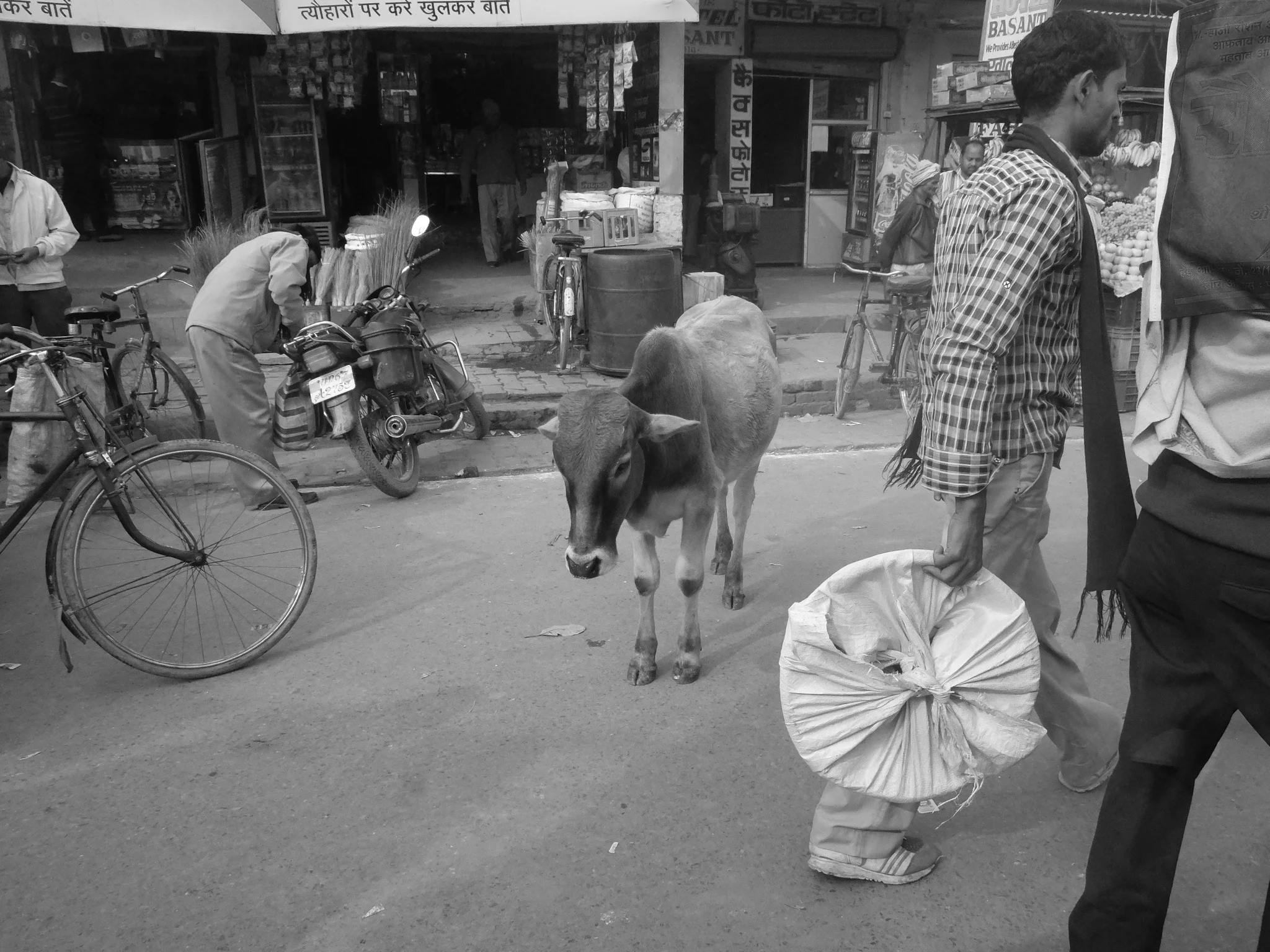 India_Jan_2014-1793.jpg