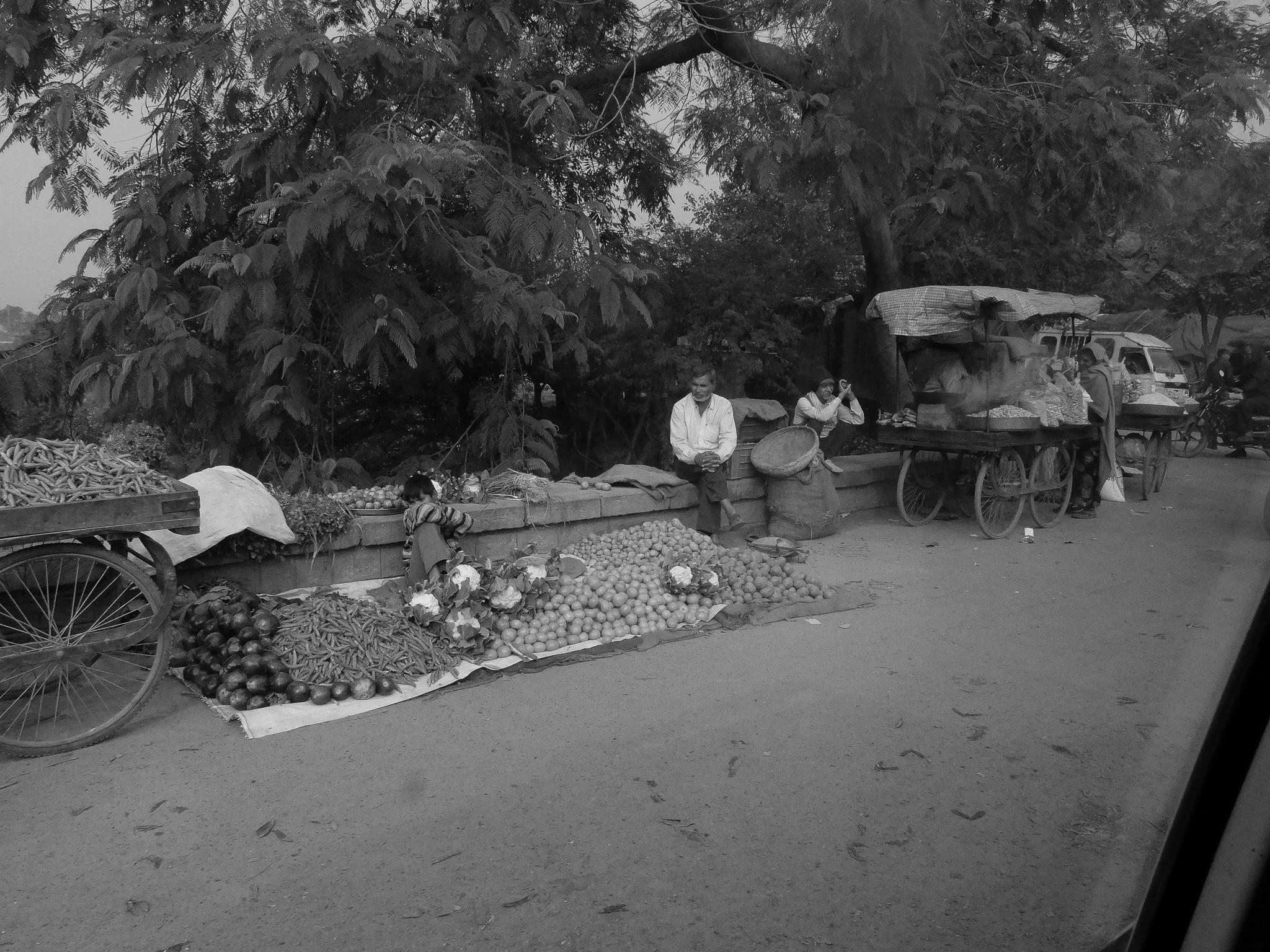 India_Jan_2014-1808.jpg