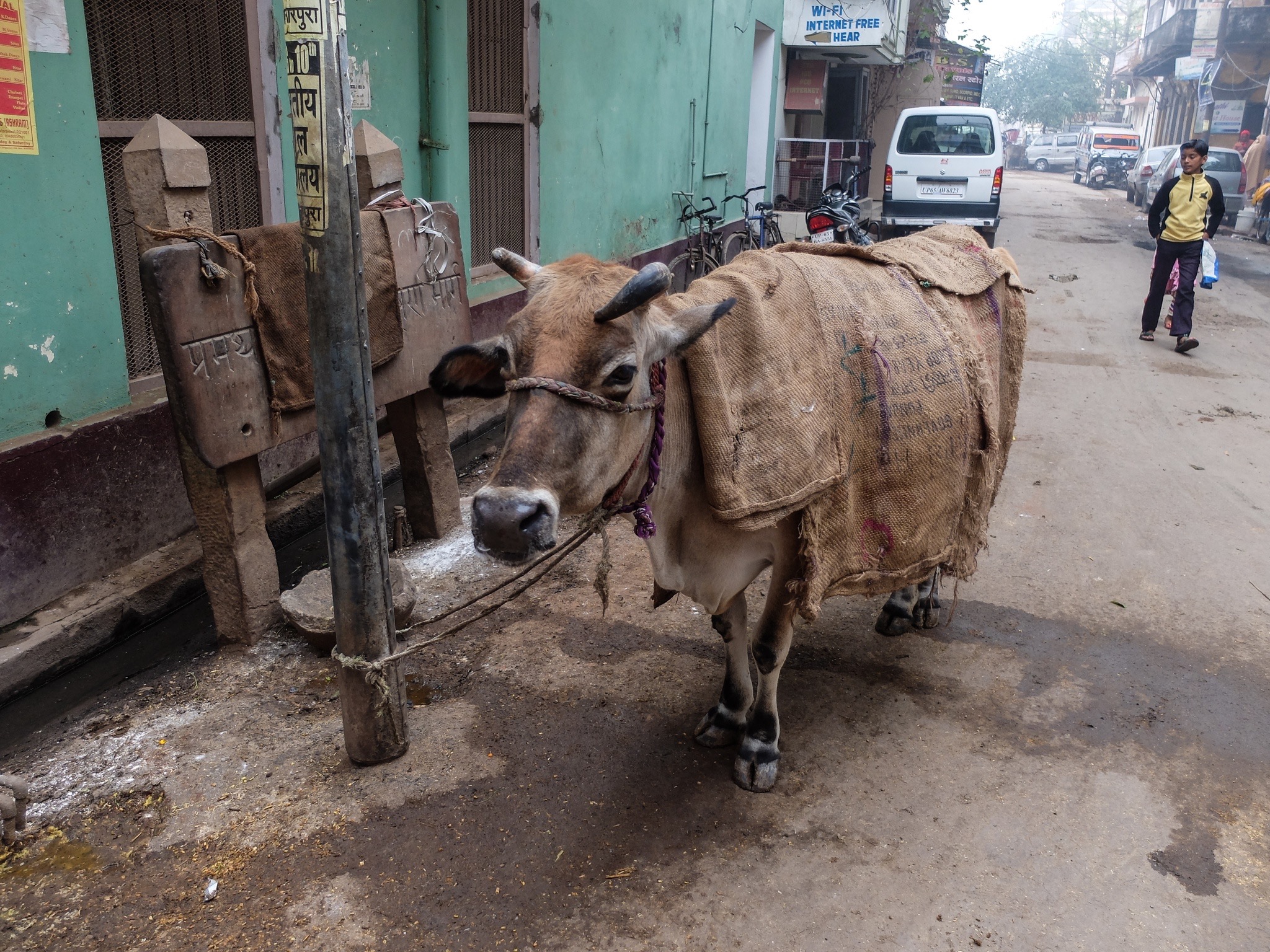 India_Jan_2014-1849.jpg