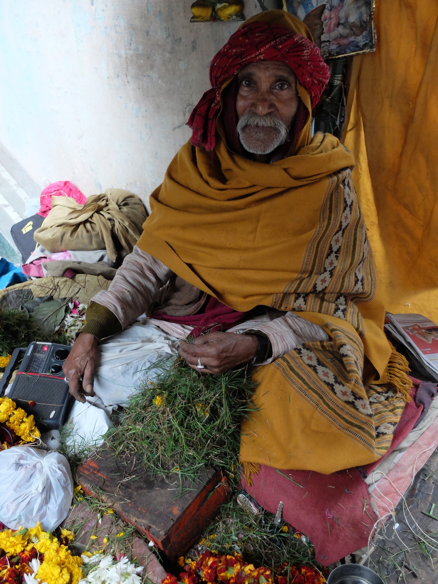 India_Jan_2014-1875.jpg