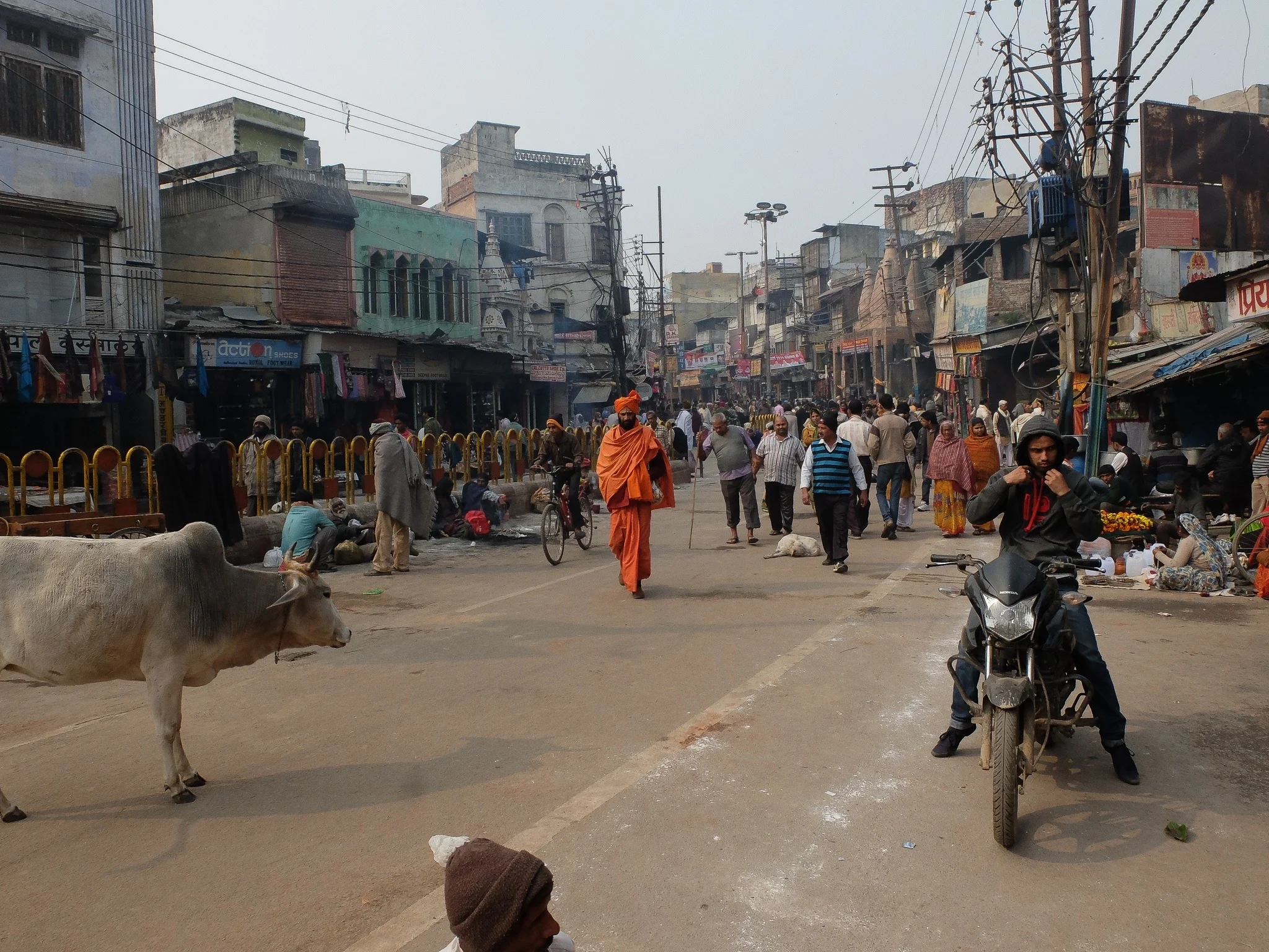 India_Jan_2014-1905.jpg