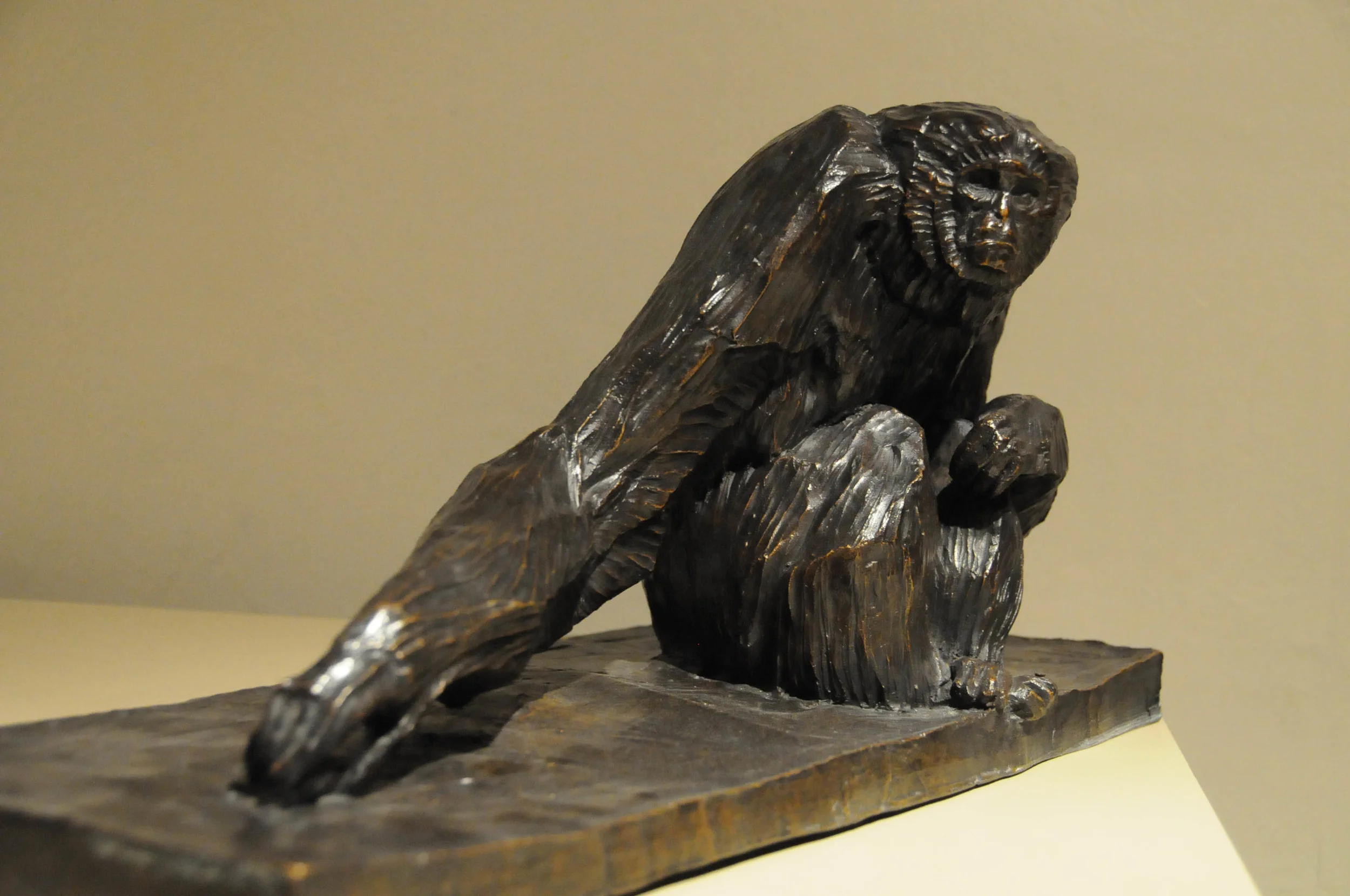 gibbon.jpg