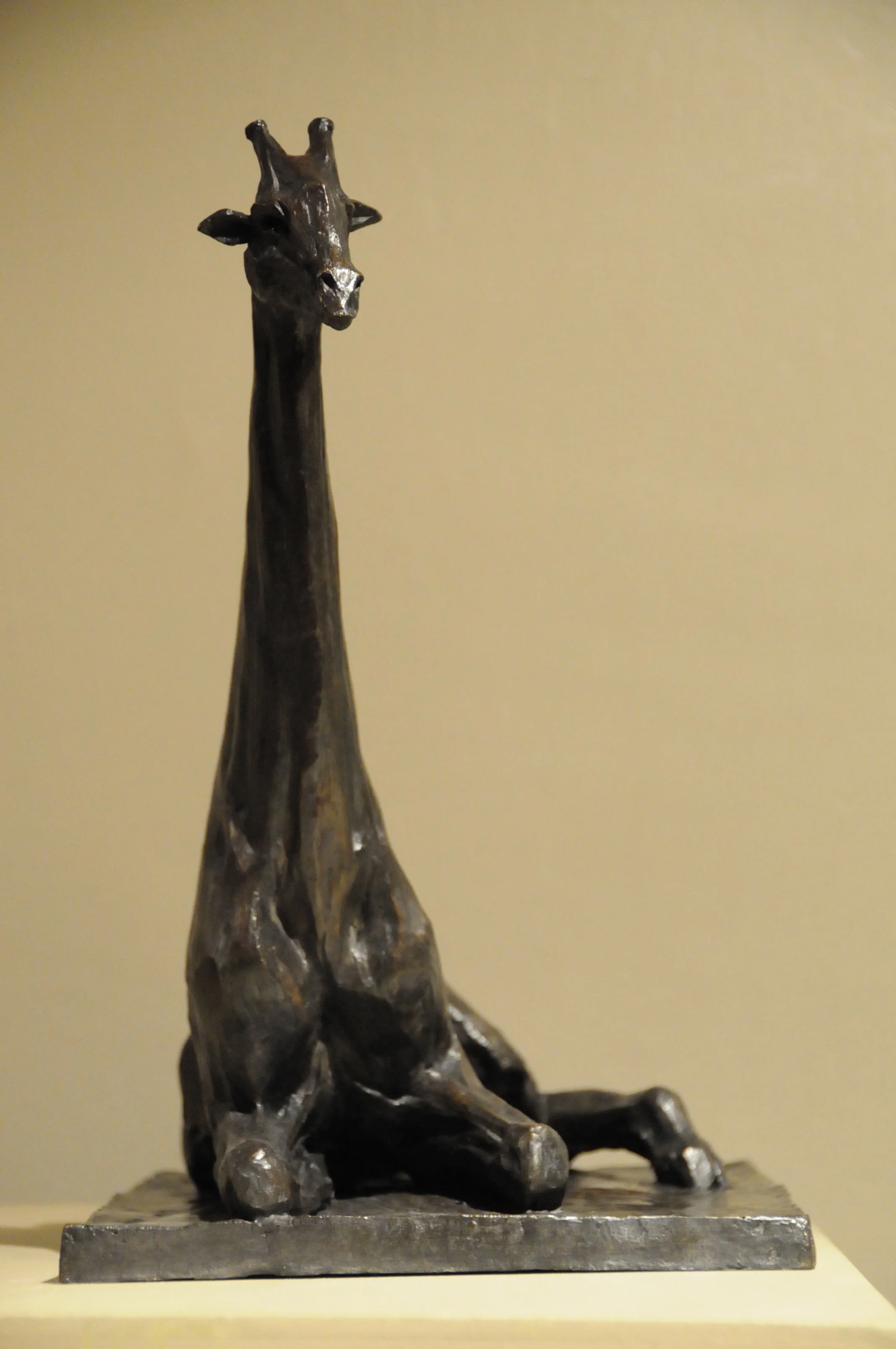 girafe.jpg