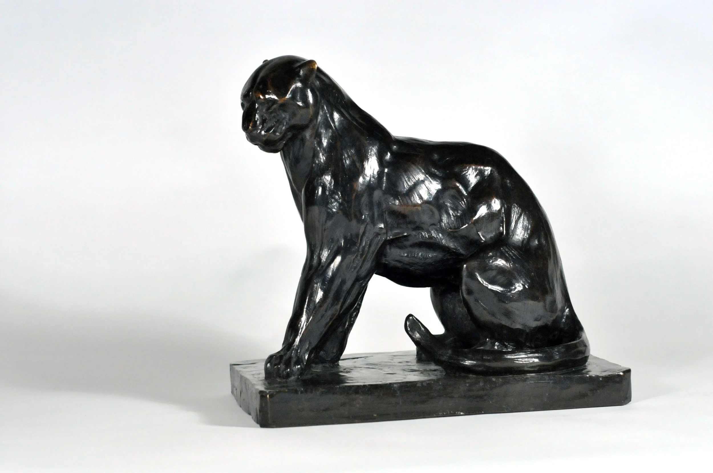 panthère assise