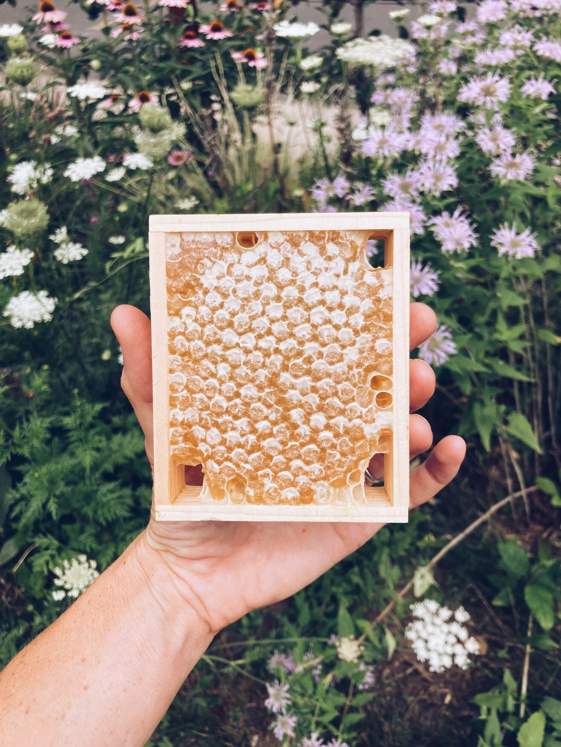 A9EB4881-F250-489D-8E5C-5179E3A4CE51