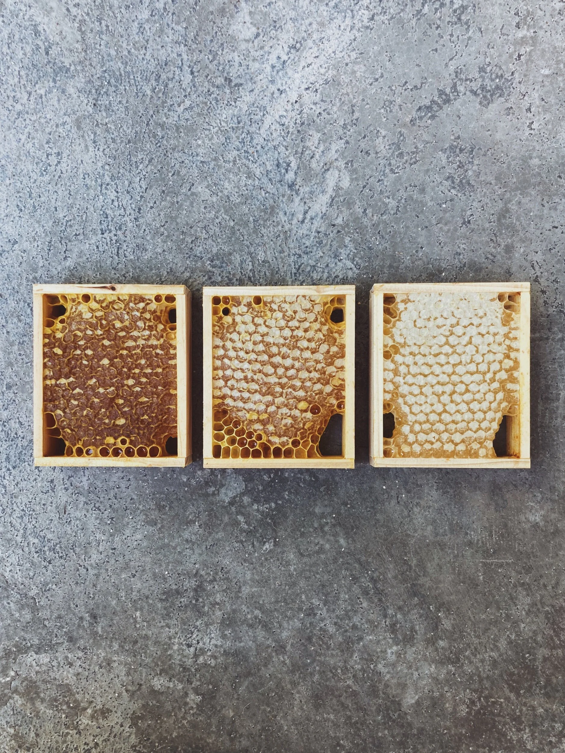 65FED0AF-4CF2-4E95-8E80-B1013A426759