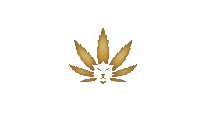 lionC8.png