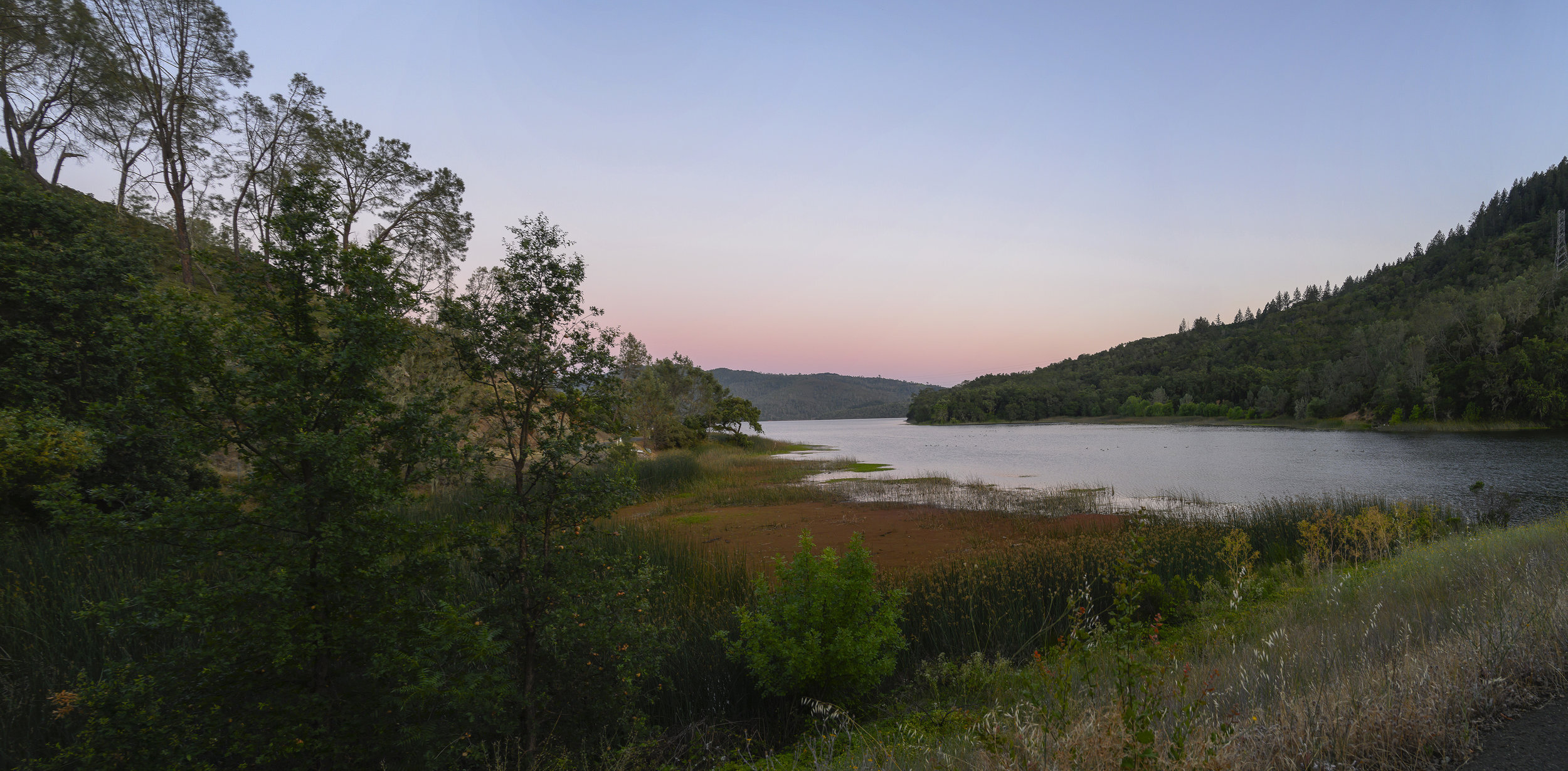 Summer Dawn, Moore Creek