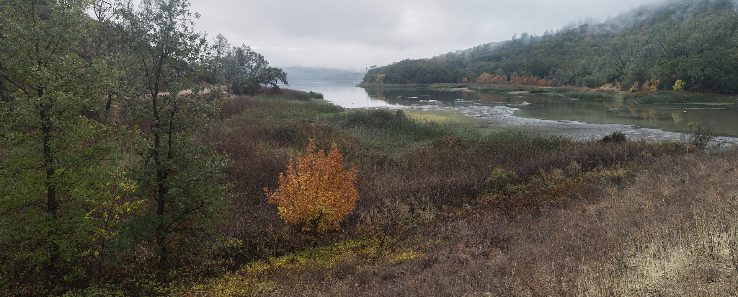 Moore Creek Foggy Morning, Autumn