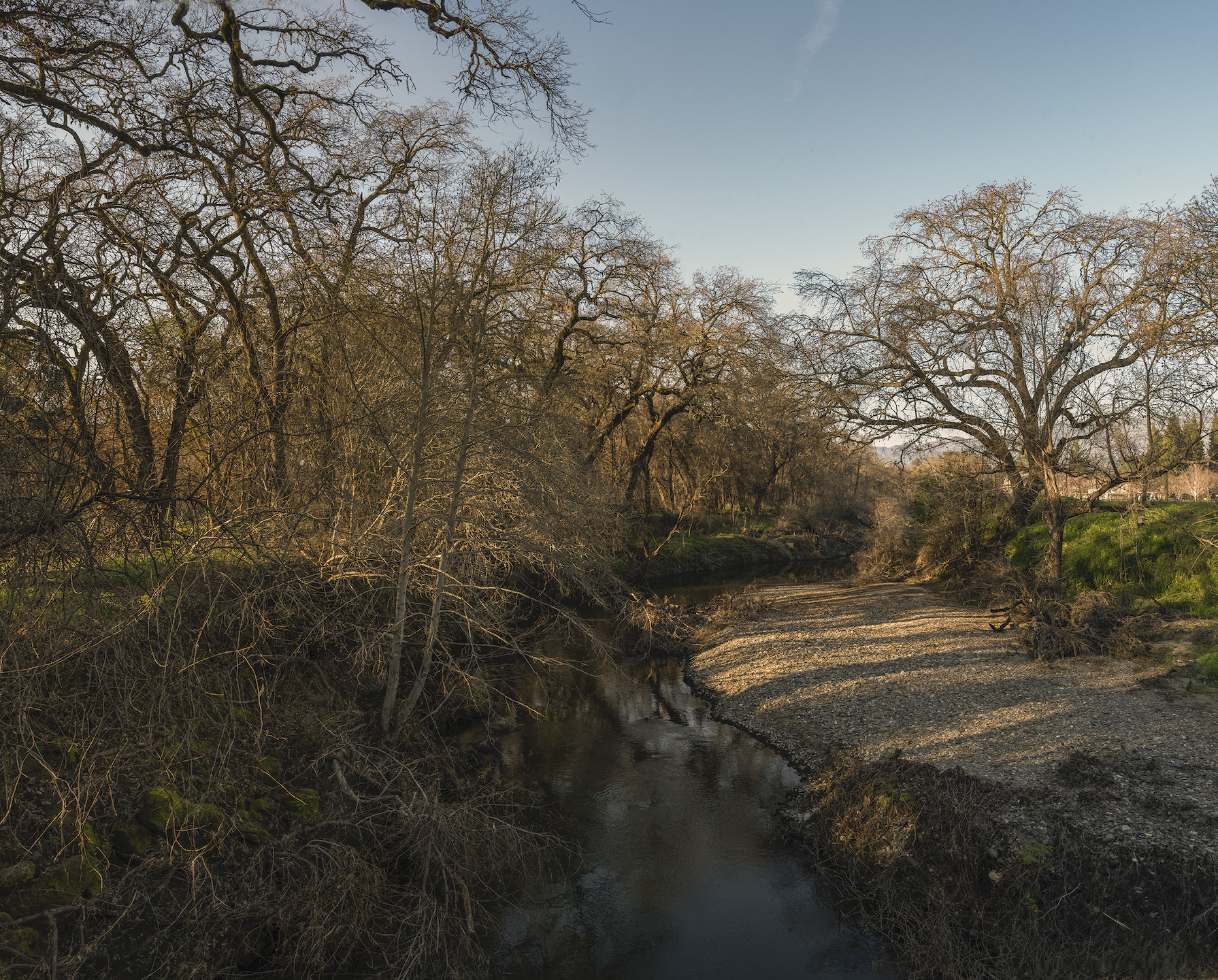 Napa River at Lodi Lane, January, 2022