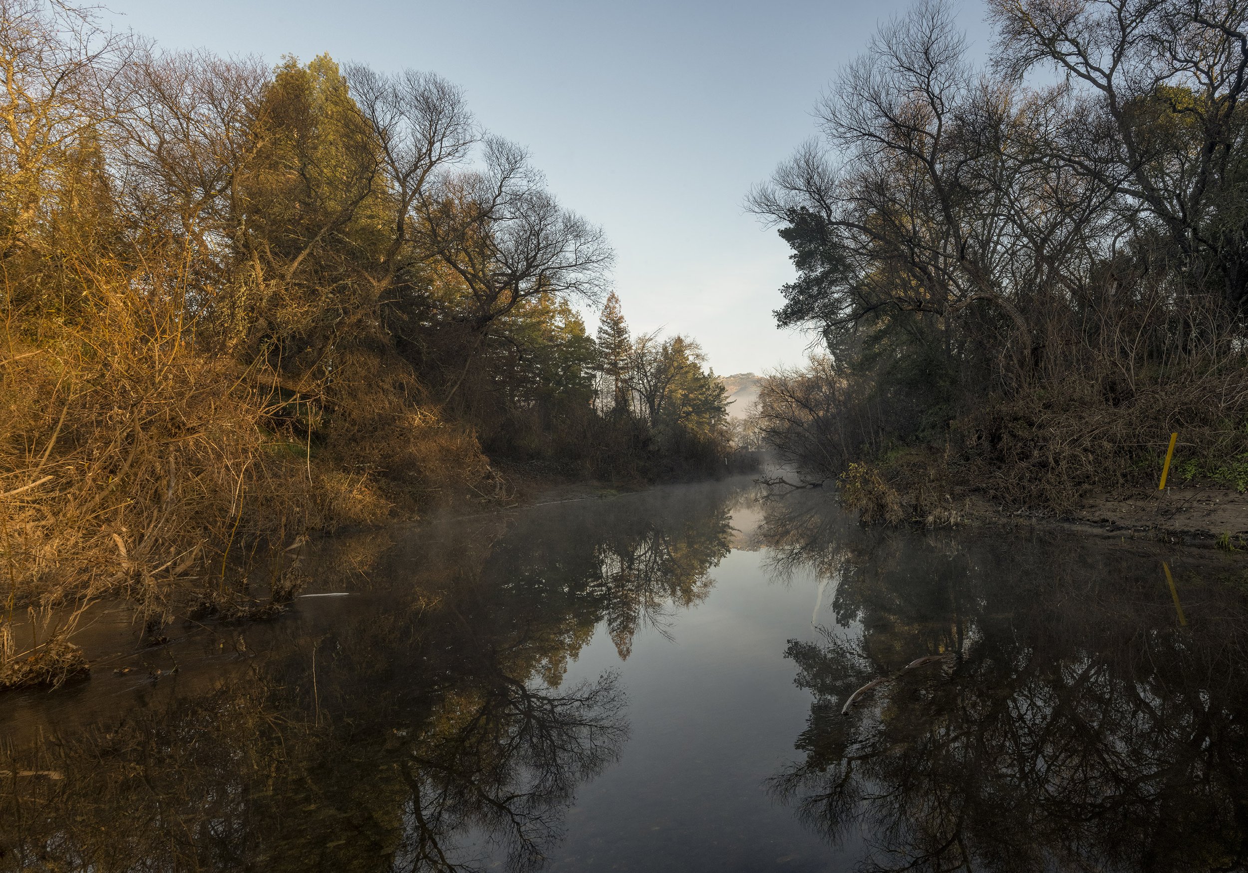 Napa River at Pope Street, January 20, 2022