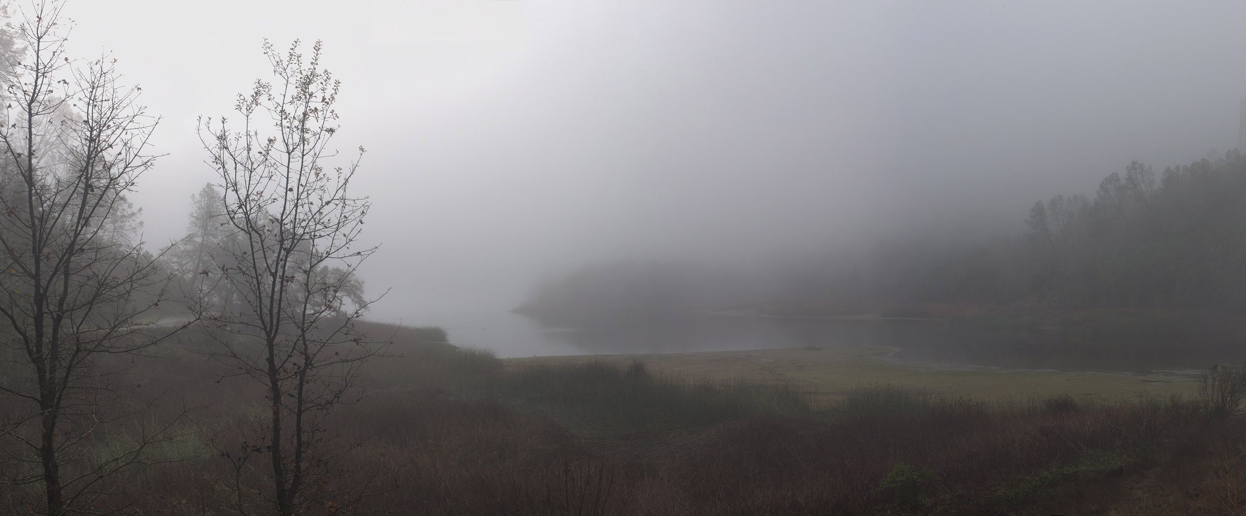 Moore Creek Morning Fog, December 2018